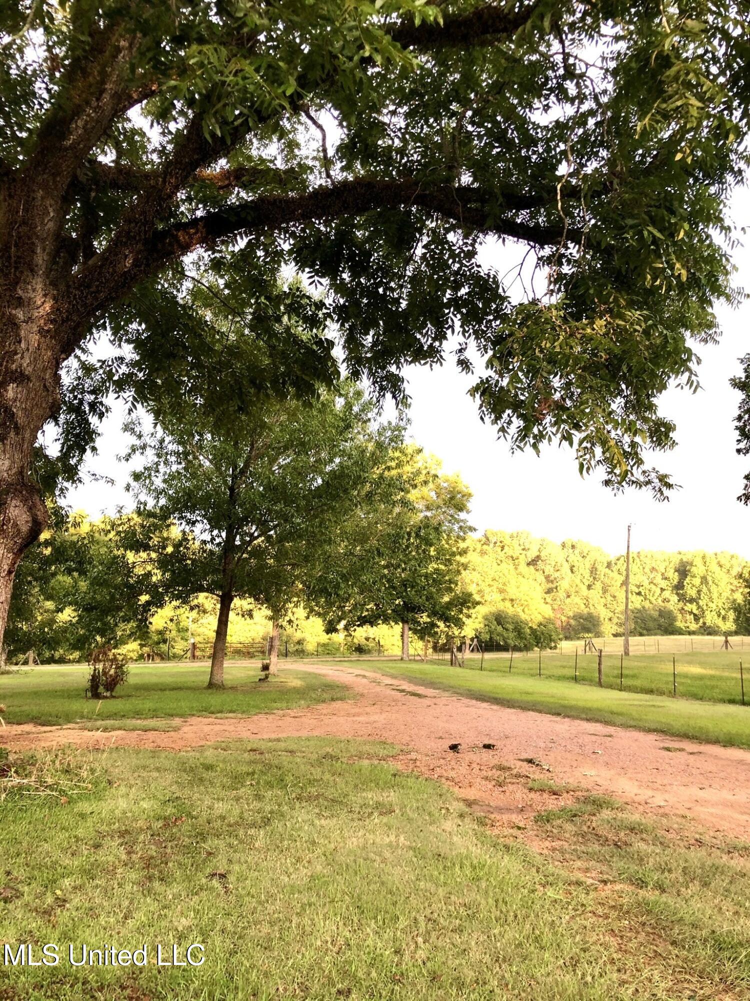 30 Hawkins Road, Natchez, Mississippi image 23