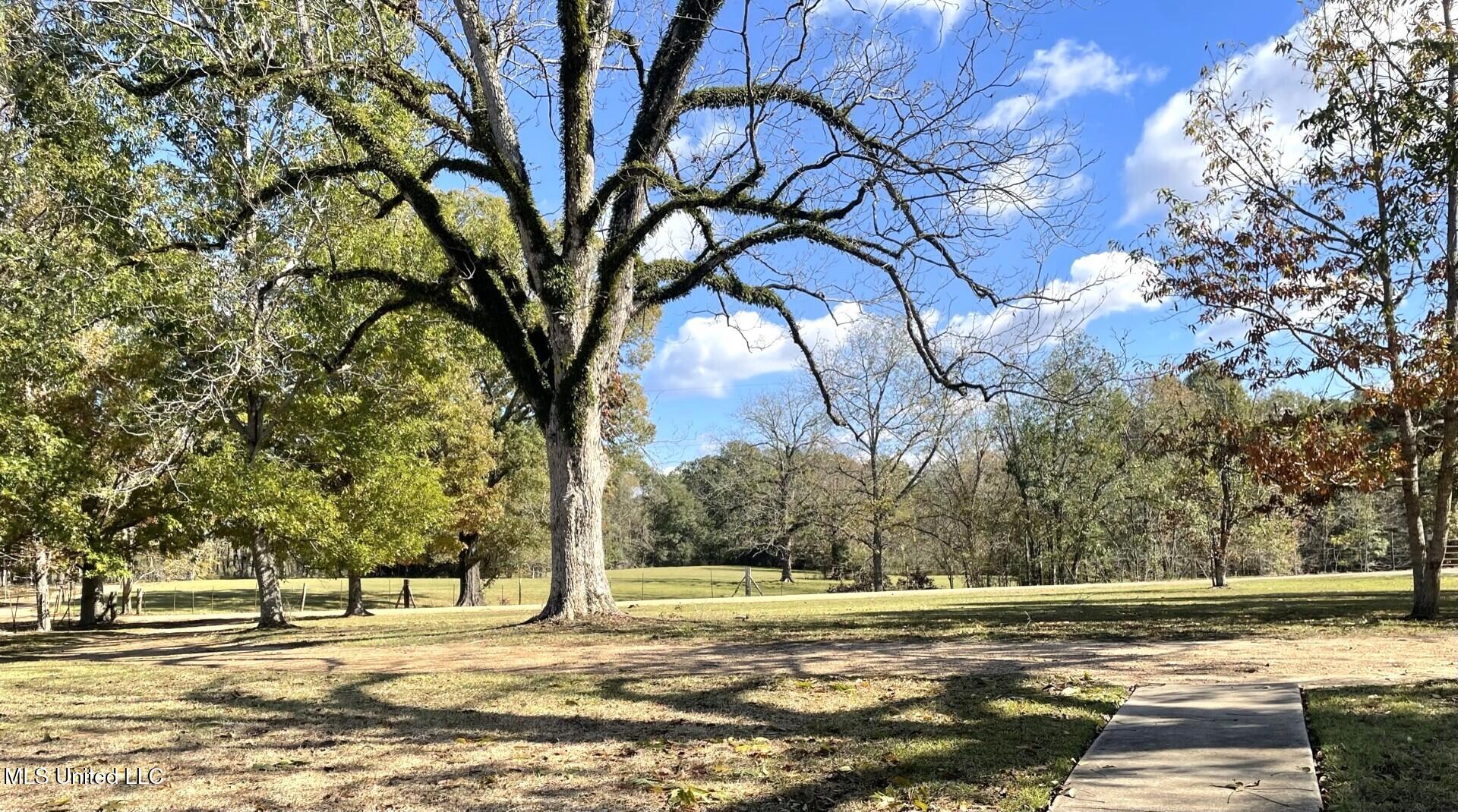 30 Hawkins Road, Natchez, Mississippi image 4