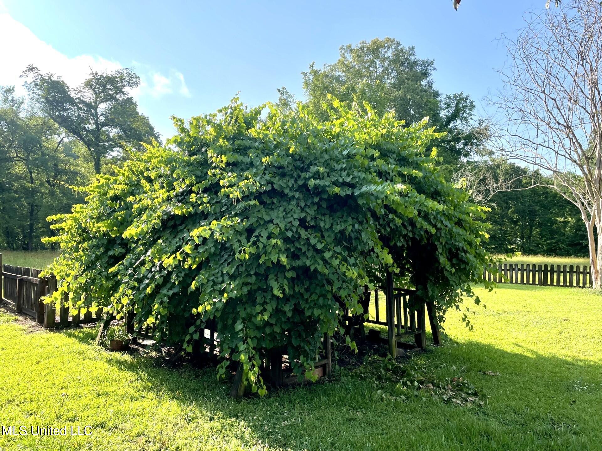 30 Hawkins Road, Natchez, Mississippi image 25