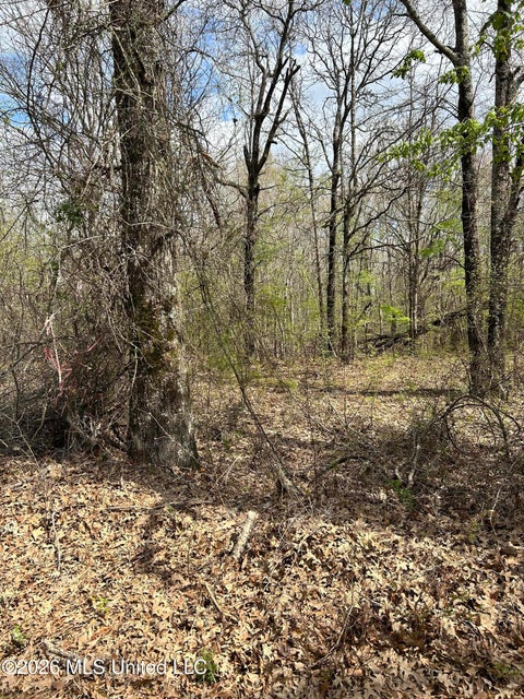 Vacant Land For Sale - LOT 8 Matthews Drive<br/> Byhalia, MS 38611
