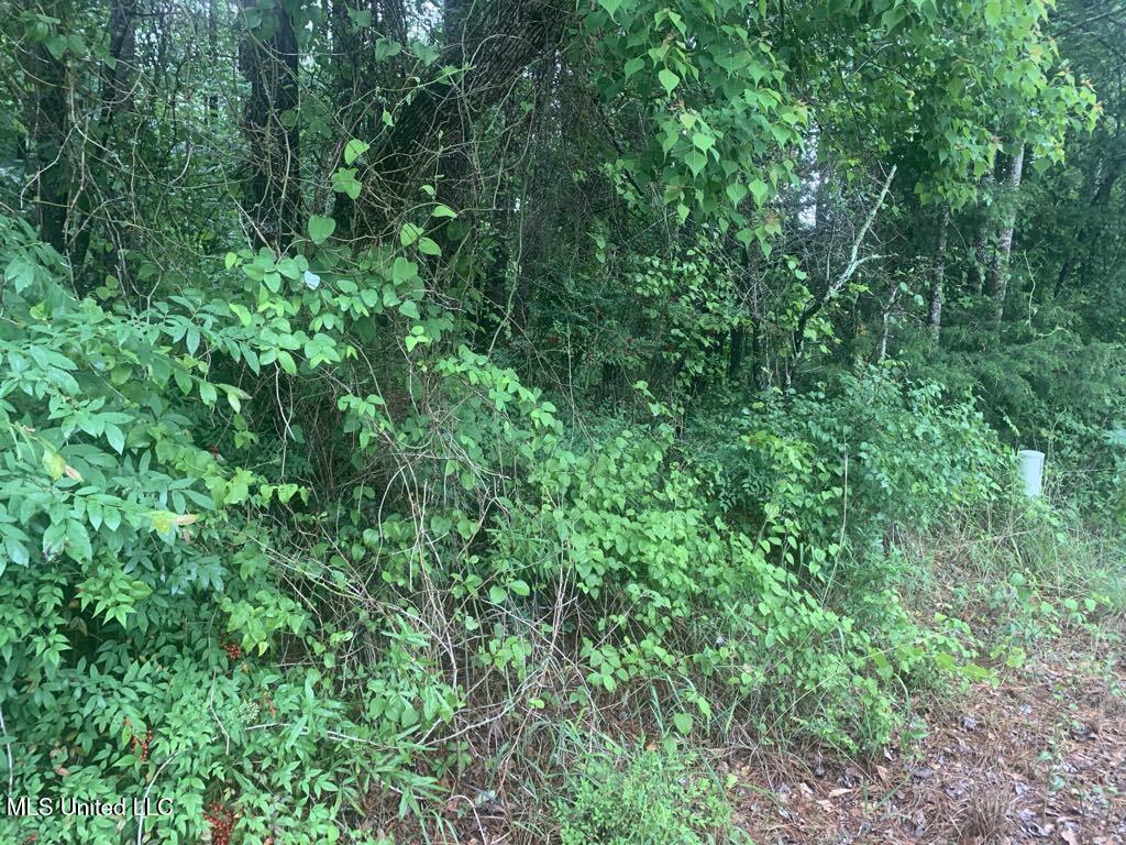 01 Dry Creek Road, Mendenhall, Mississippi image 5