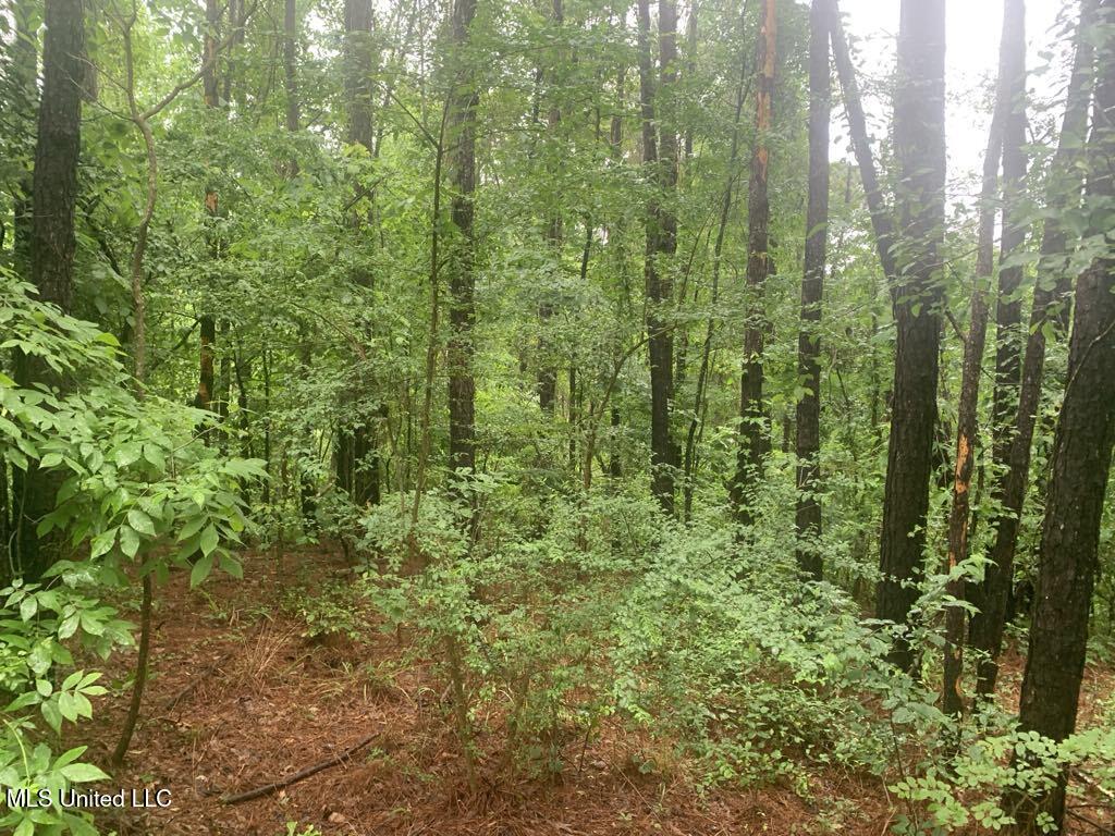 01 Dry Creek Road, Mendenhall, Mississippi image 7