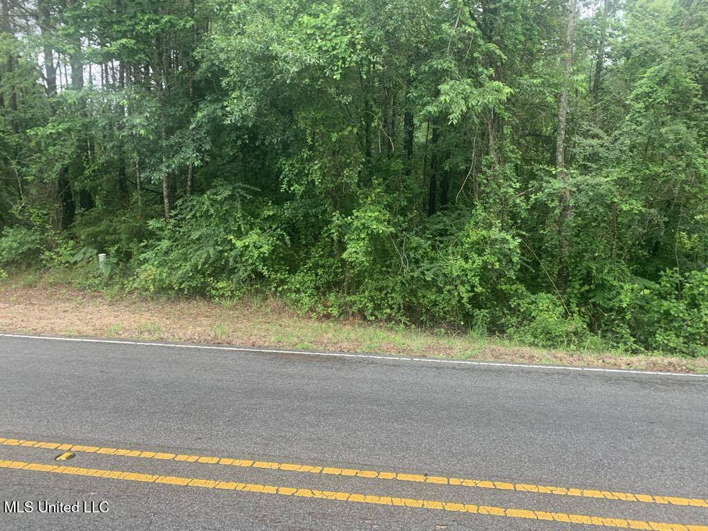 01 Dry Creek Road, Mendenhall, Mississippi image 12