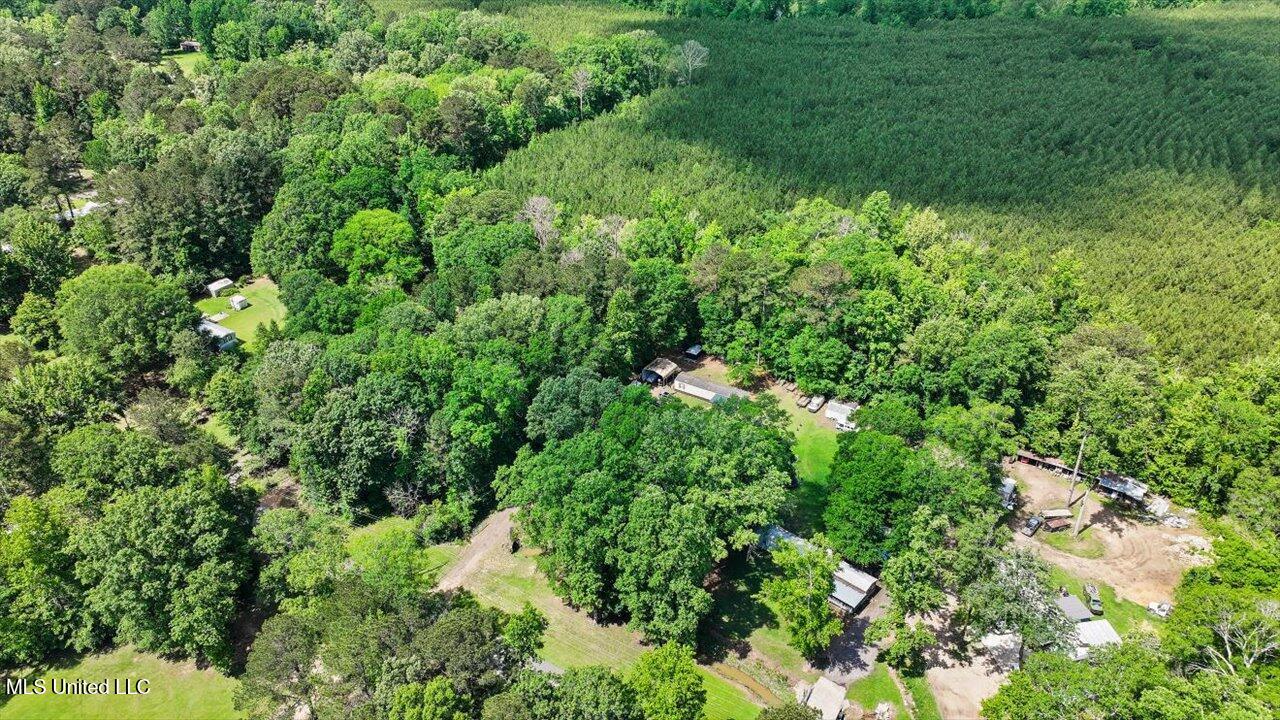 138 Wesley Street, Florence, Mississippi image 29