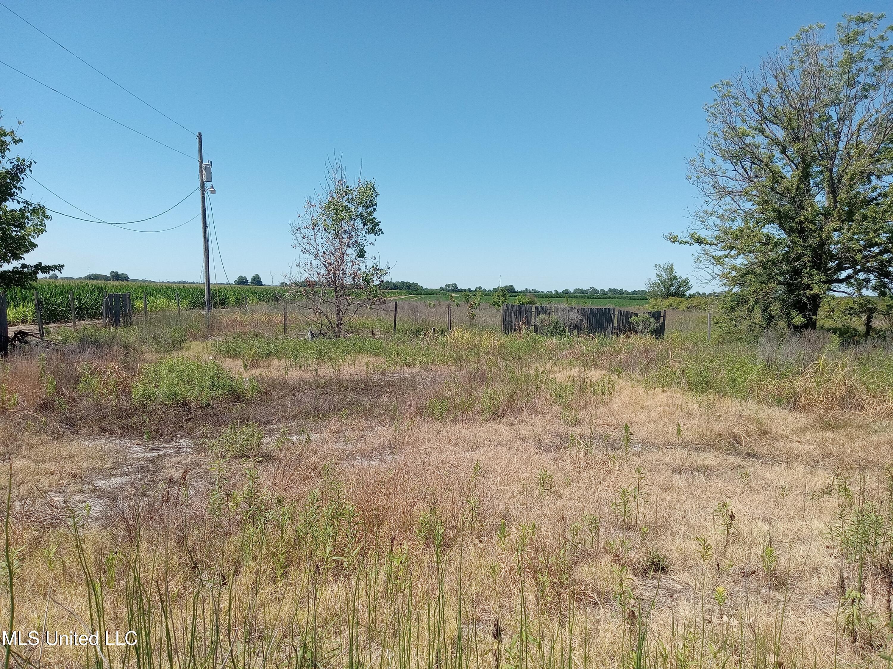 188 Richardson Road, Hollandale, Mississippi image 8