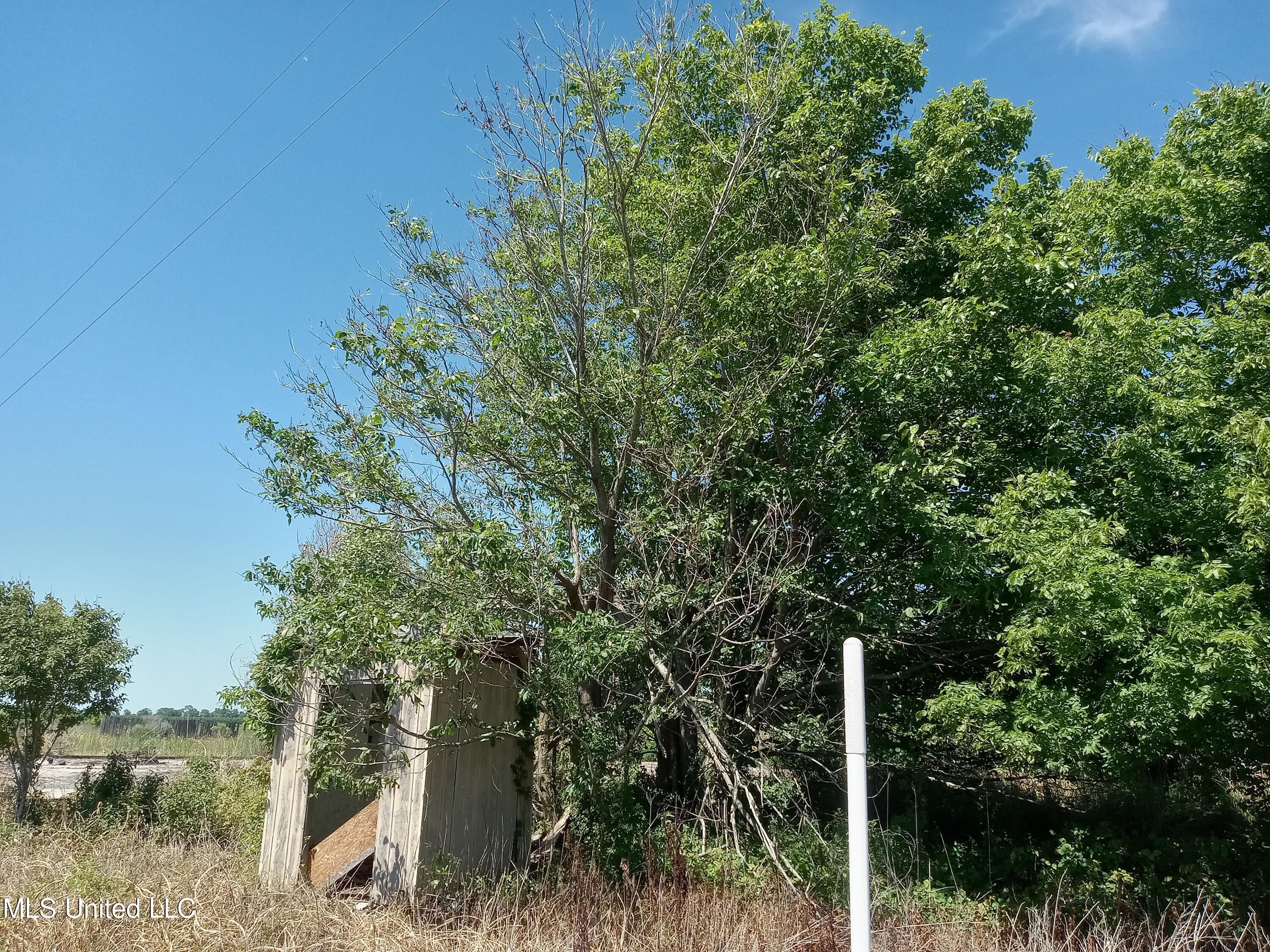 188 Richardson Road, Hollandale, Mississippi image 12