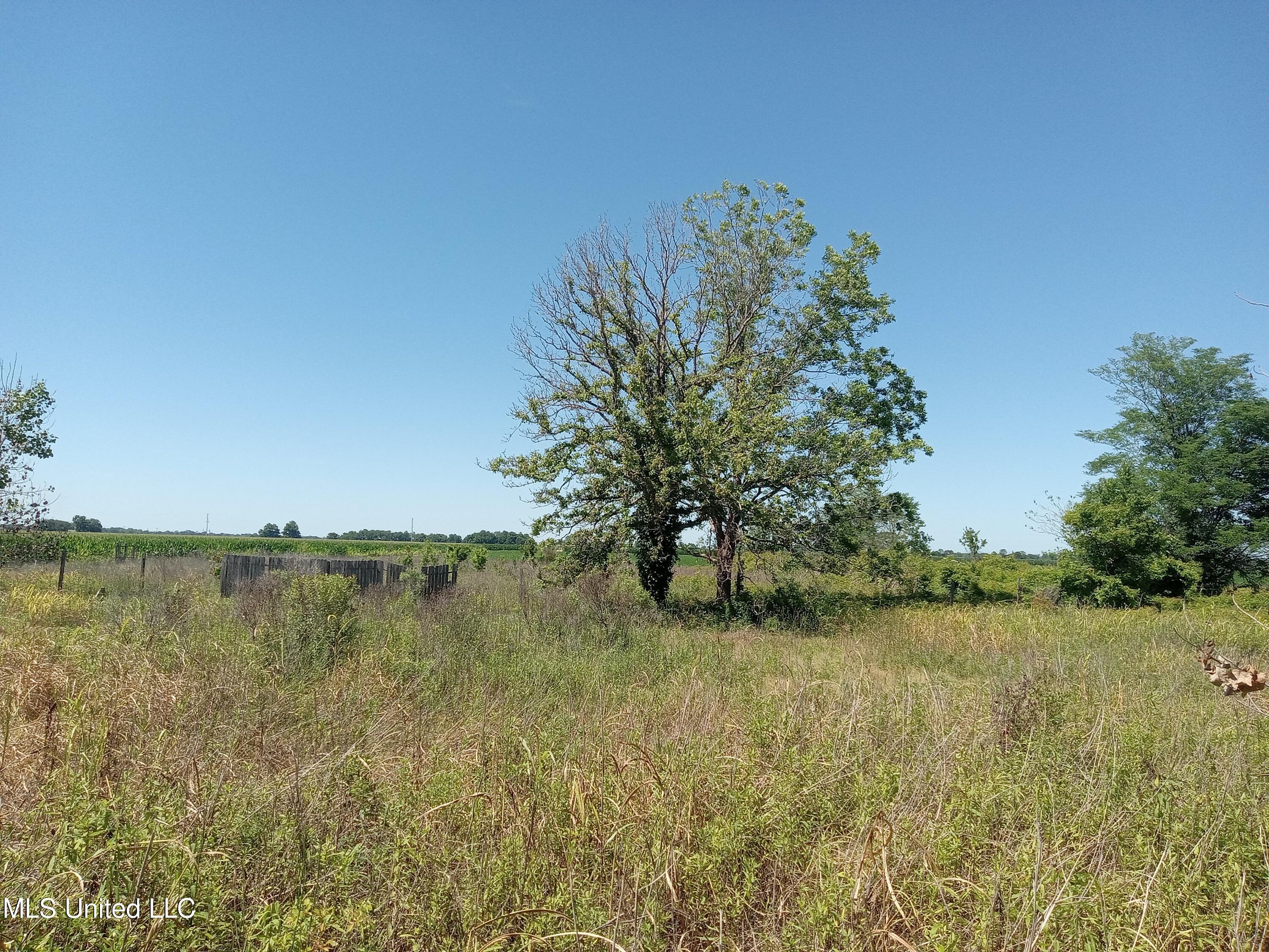 188 Richardson Road, Hollandale, Mississippi image 11