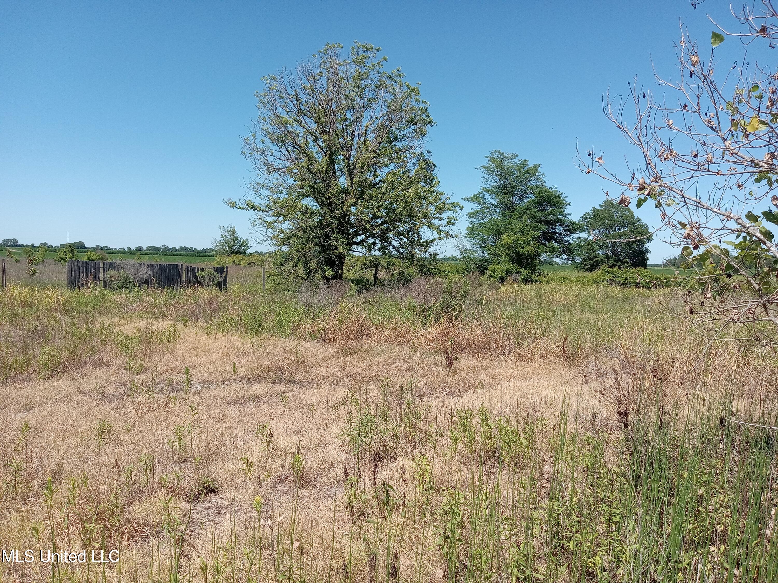 188 Richardson Road, Hollandale, Mississippi image 10