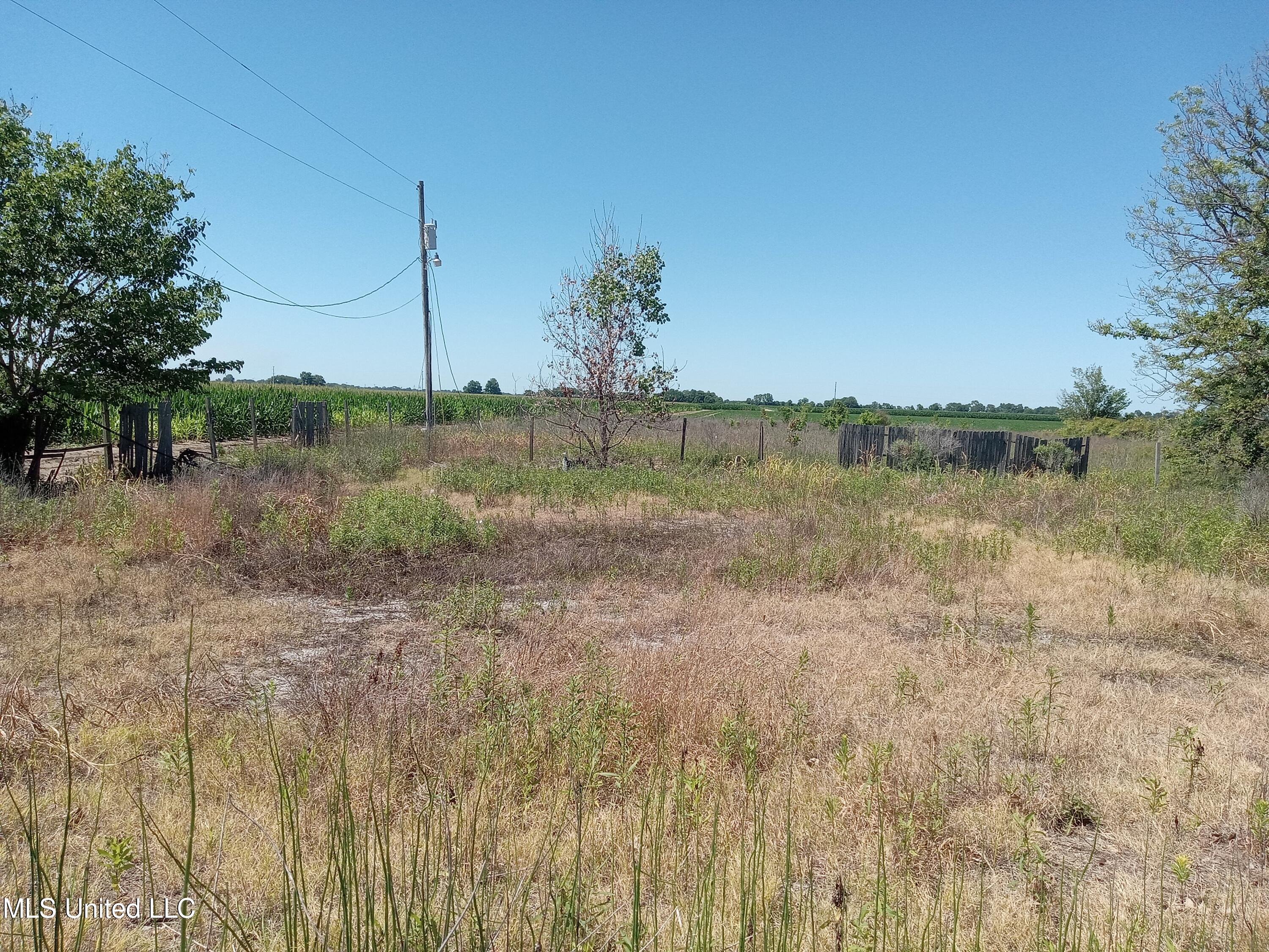 188 Richardson Road, Hollandale, Mississippi image 9