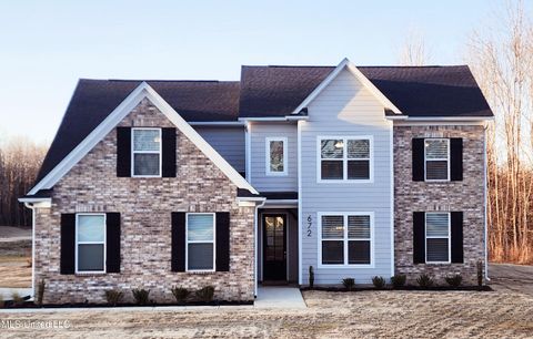 Homes For Sale - 672 Centerline Roper Loop<br/> Marshall County, Byhalia, MS 38611