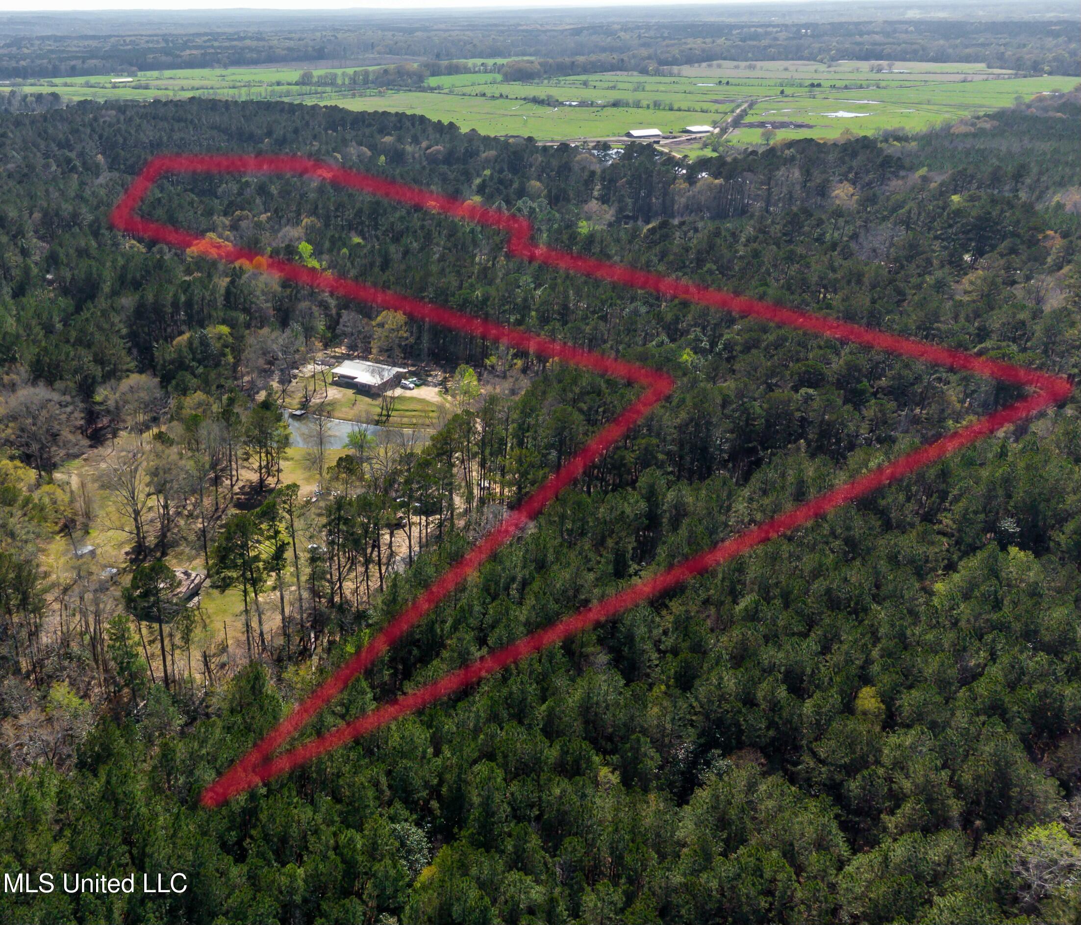 Ms-13, Mendenhall, Mississippi image 9