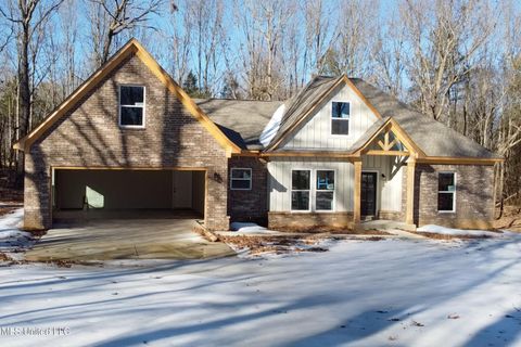 Homes For Sale - 667 Pigeon Roost Road<br/> Coldwater, MS 38618