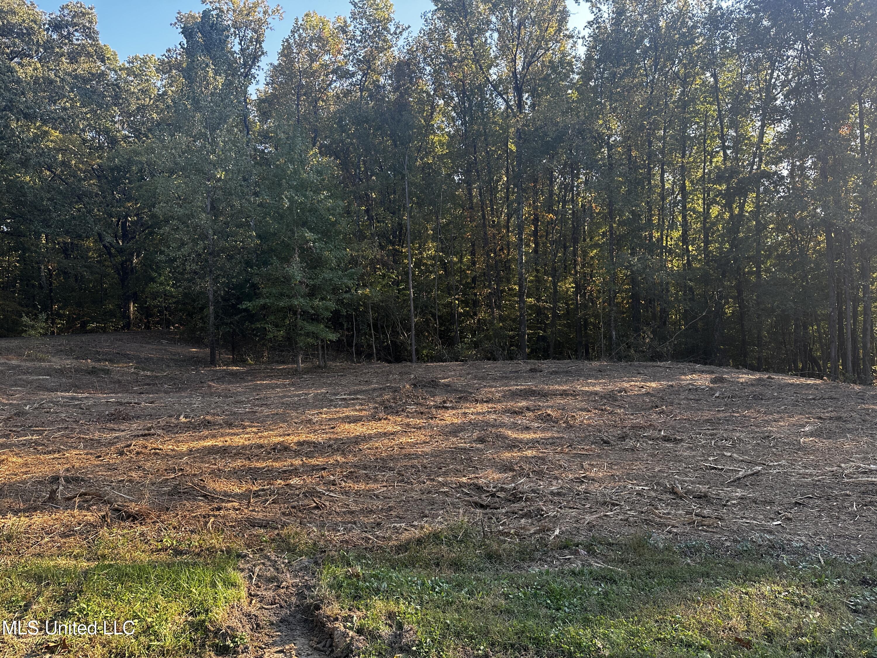 Lot 15 Michael Drive, Lake Cormorant, Mississippi image 2