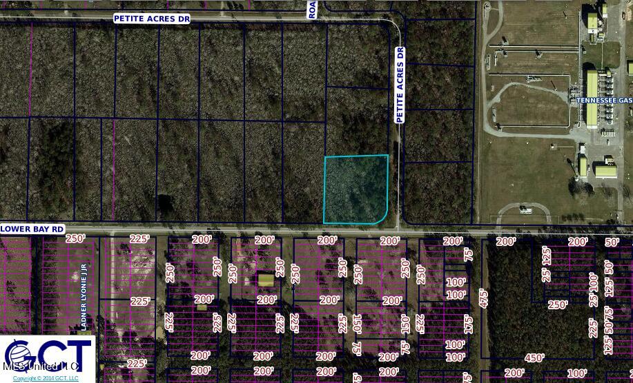 01 Petite Acres Drive, Bay Saint Louis, Mississippi image 2