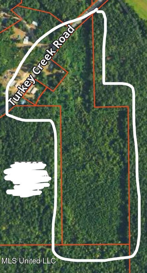 Vacant Land For Sale - Turkey Creek Road<br/> Decatur, MS 39327
