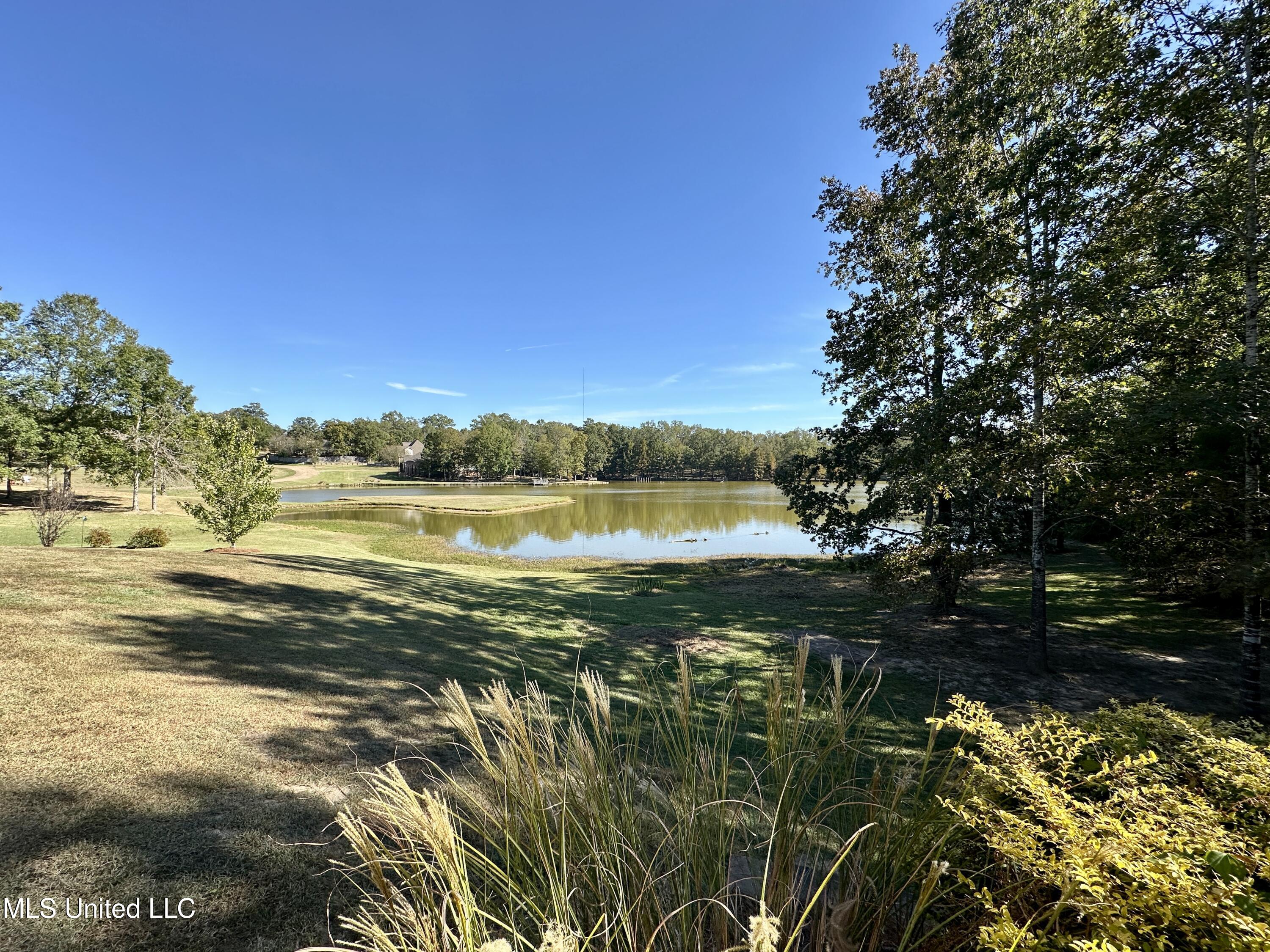 4 Mallard Crossing, Raymond, Mississippi image 48