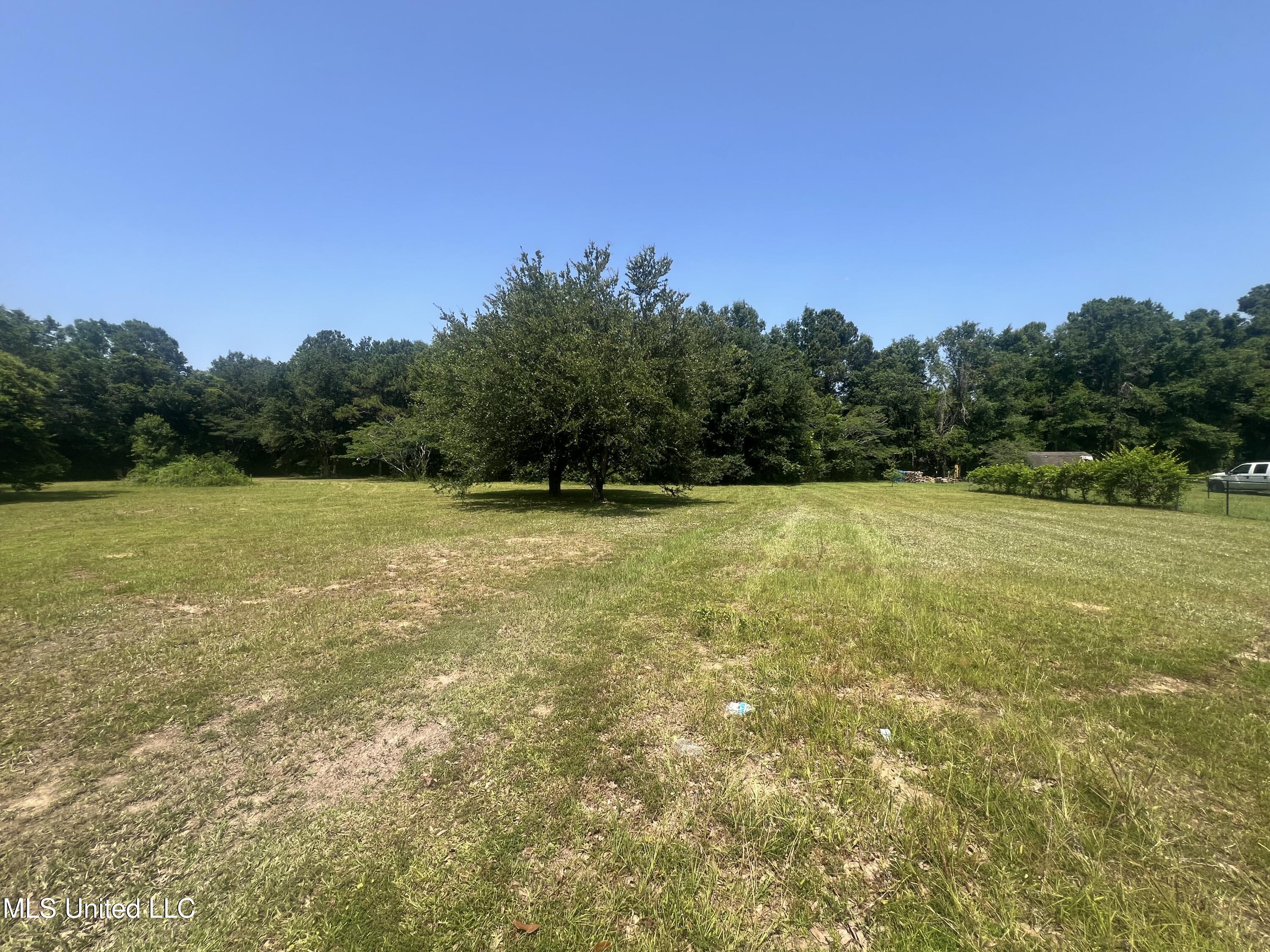 Cuevas Delisle Road, Pass Christian, Mississippi image 2