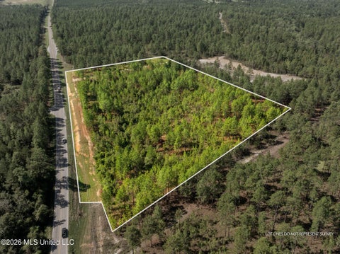 Vacant Land For Sale - Hwy 11<br/> Purvis, MS 39475