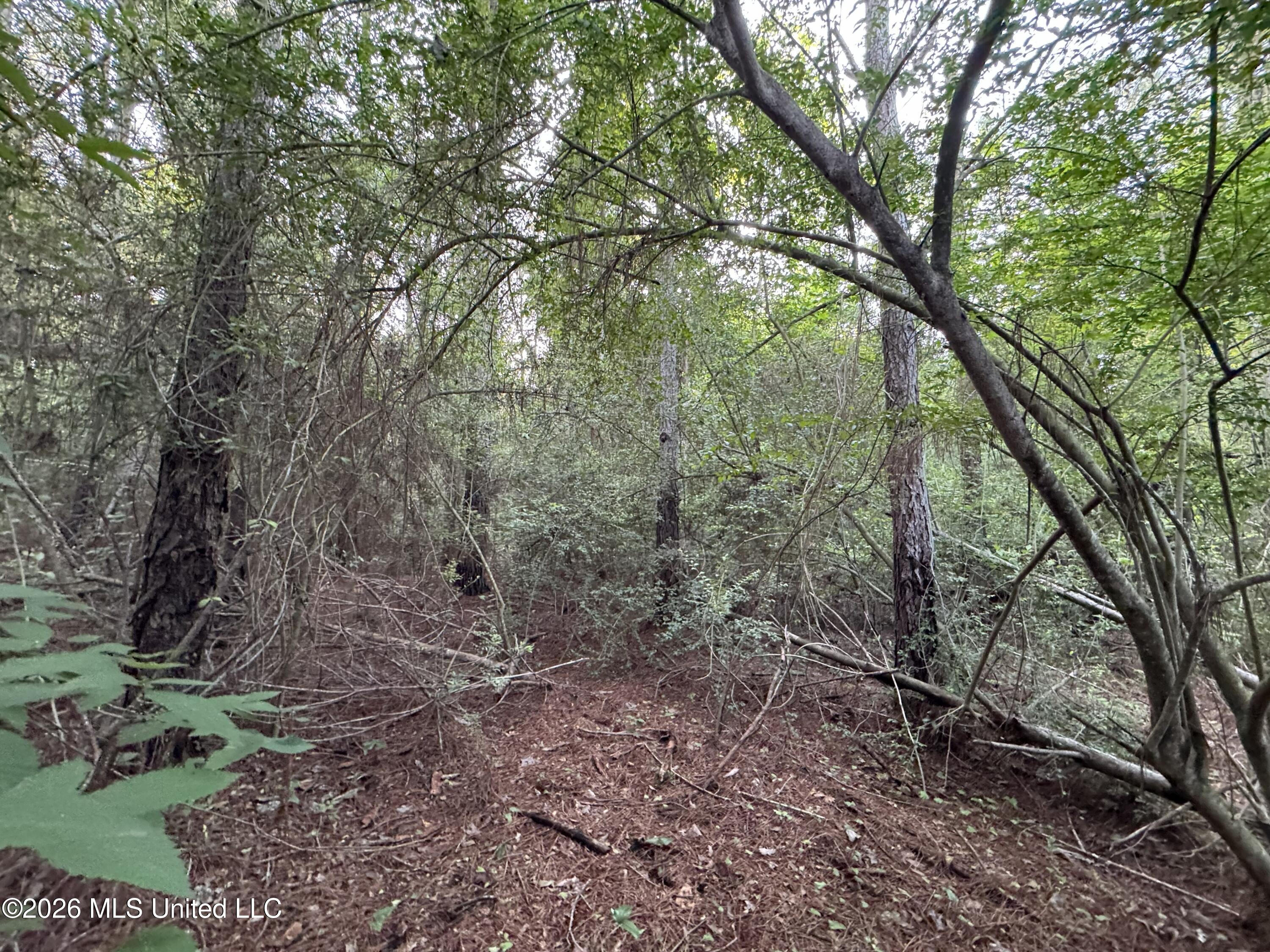 N Lot 2 River Road