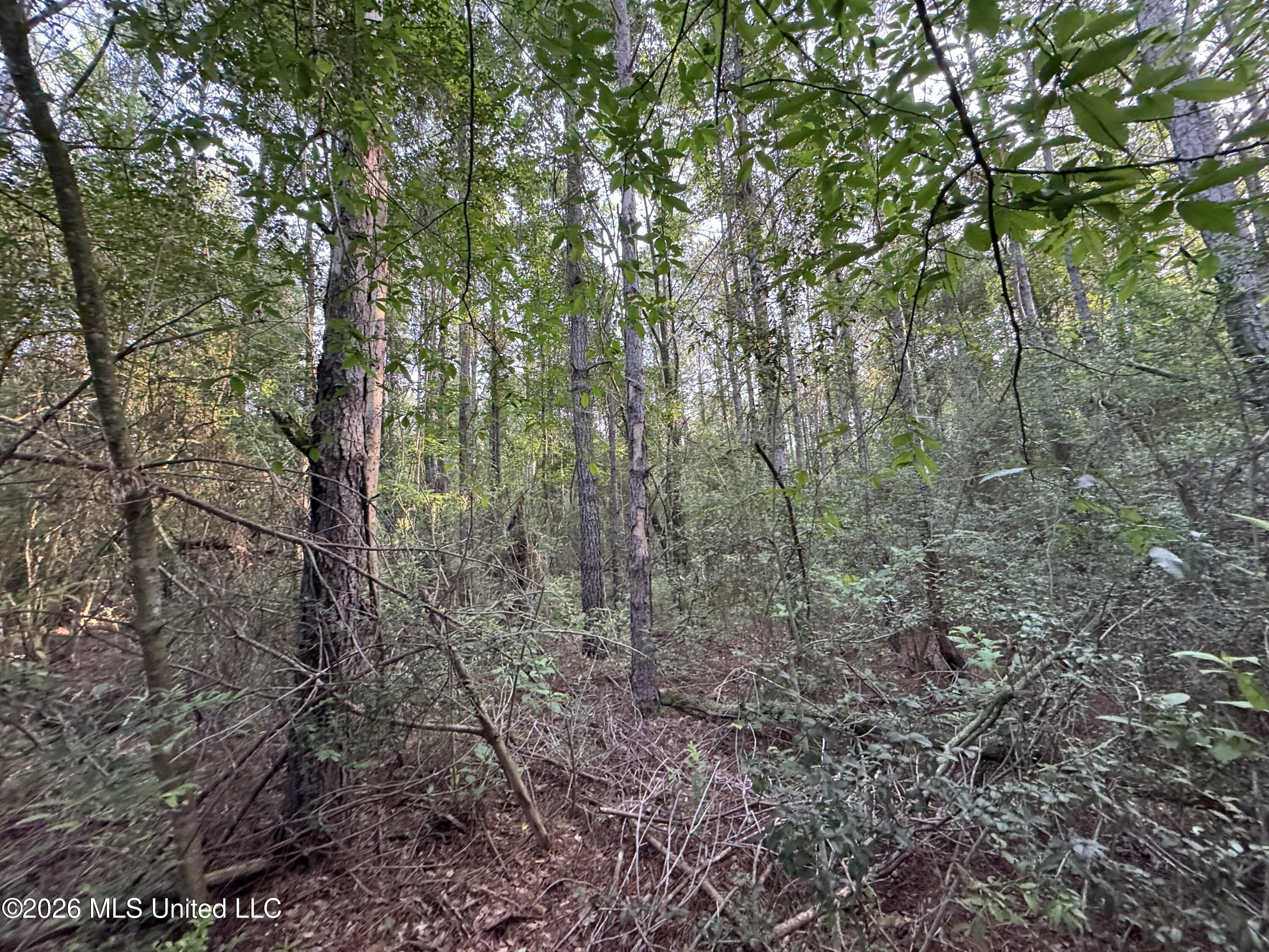 N Lot 2 River Road