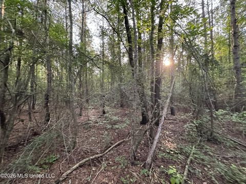 Vacant Land For Sale - N Lot 2 River Road<br/> Pike County, Summit, MS 39666