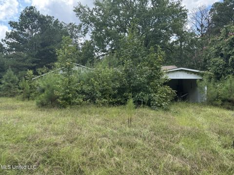 Homes For Sale - 199 Jeff Peay Road<br/> Oktibbeha County, Maben, MS 39750
