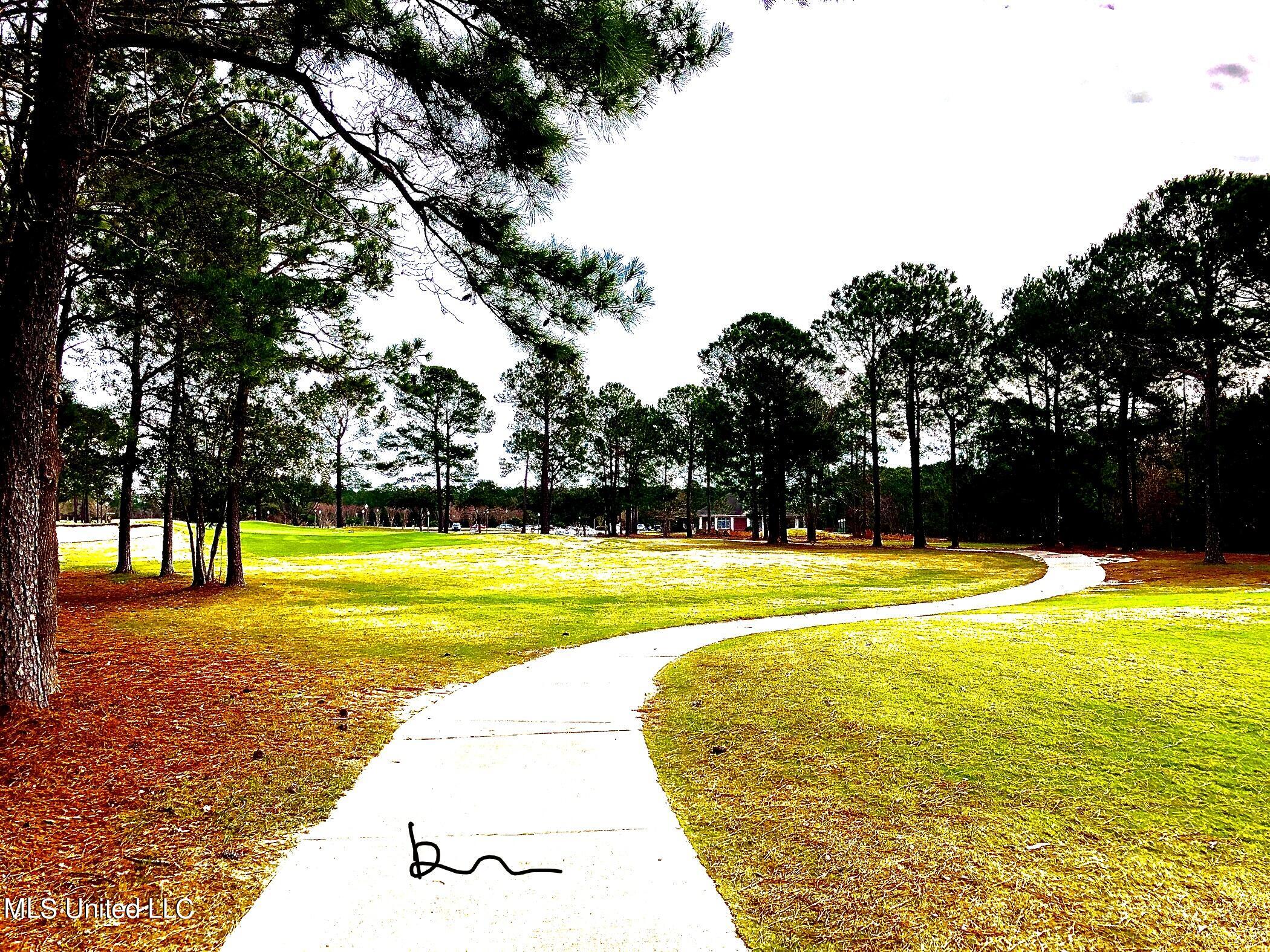 Shell Landing, Gautier, Mississippi image 27