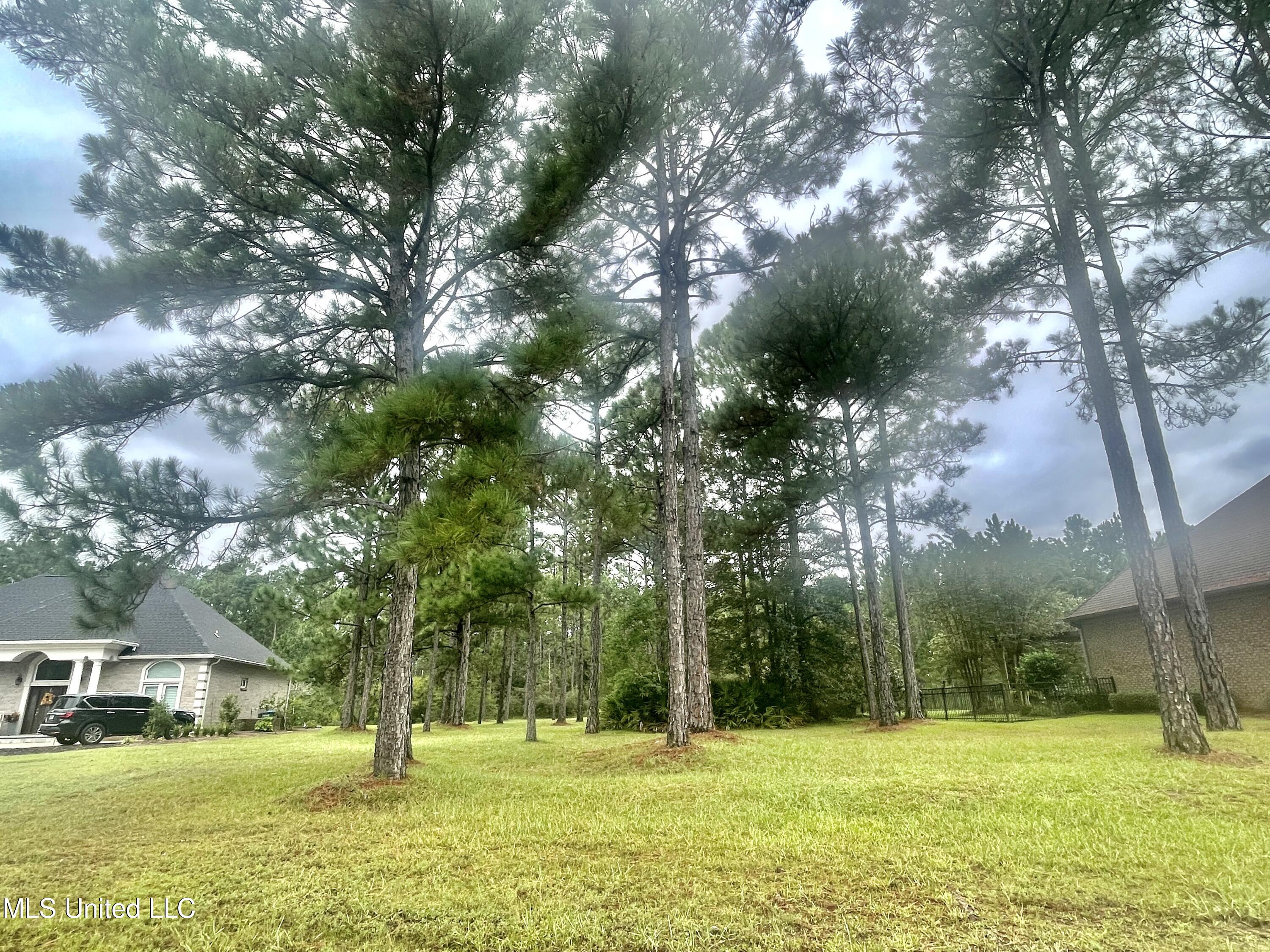 Shell Landing, Gautier, Mississippi image 1