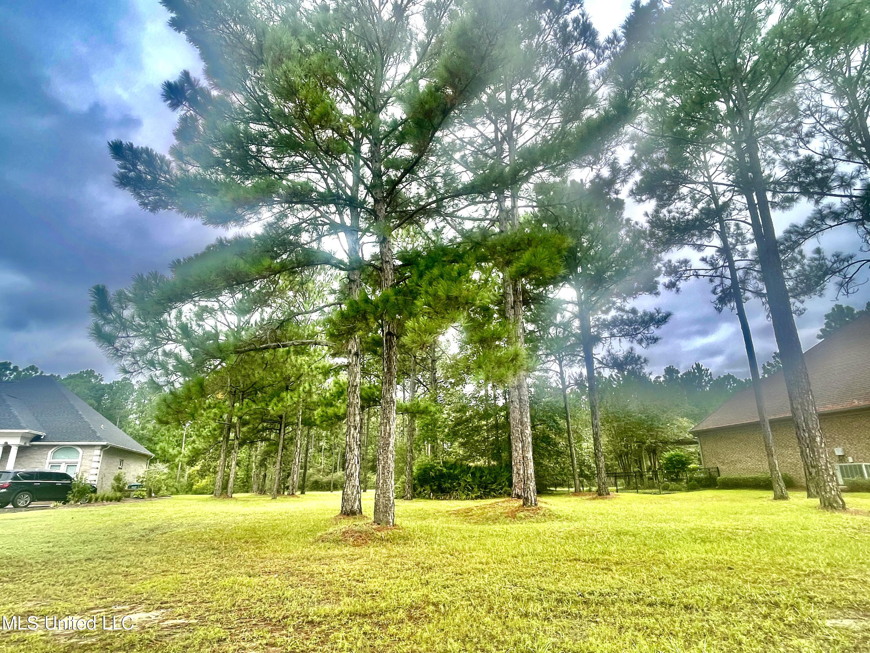 Shell Landing, Gautier, Mississippi image 11