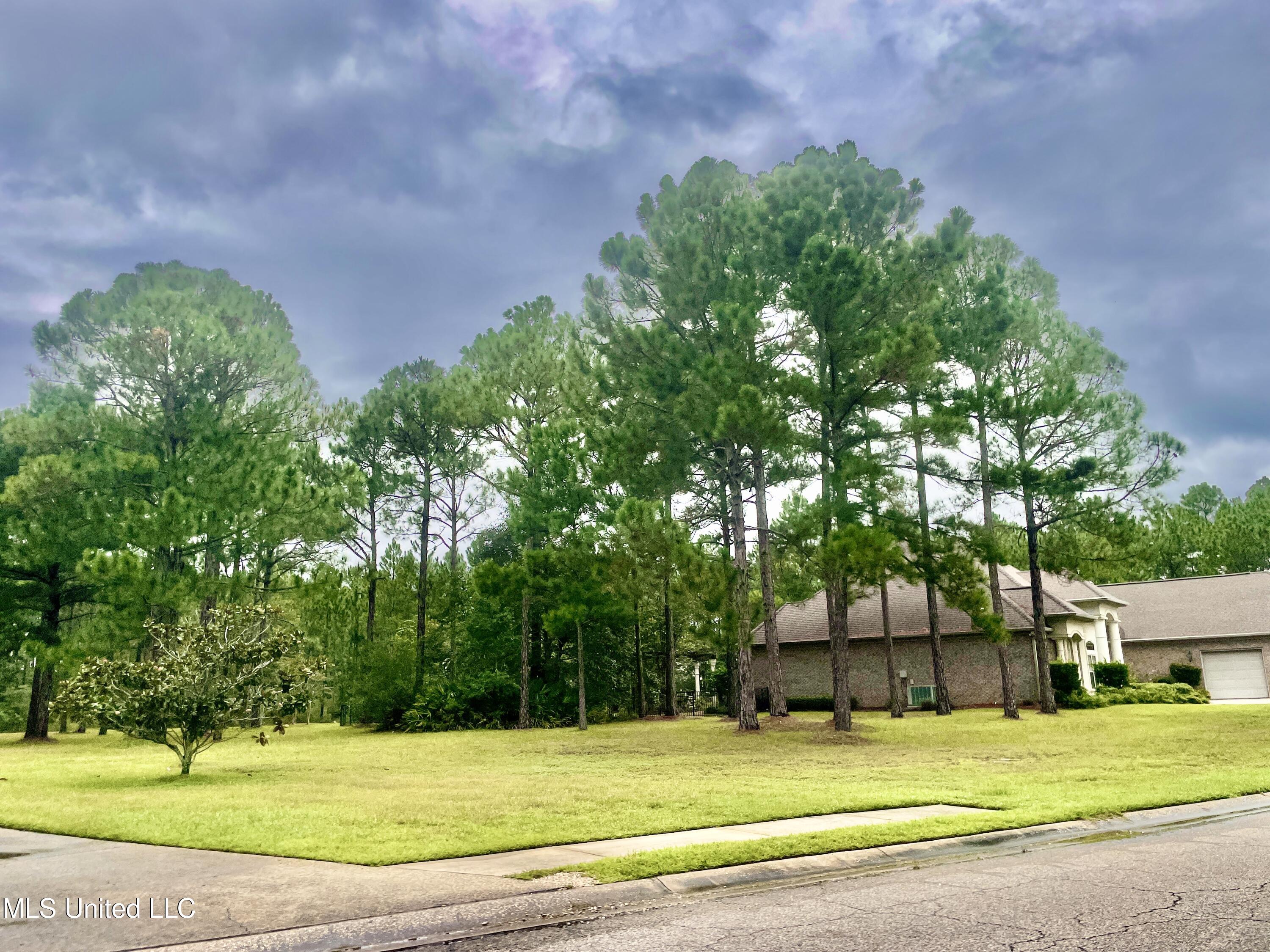 Shell Landing, Gautier, Mississippi image 10