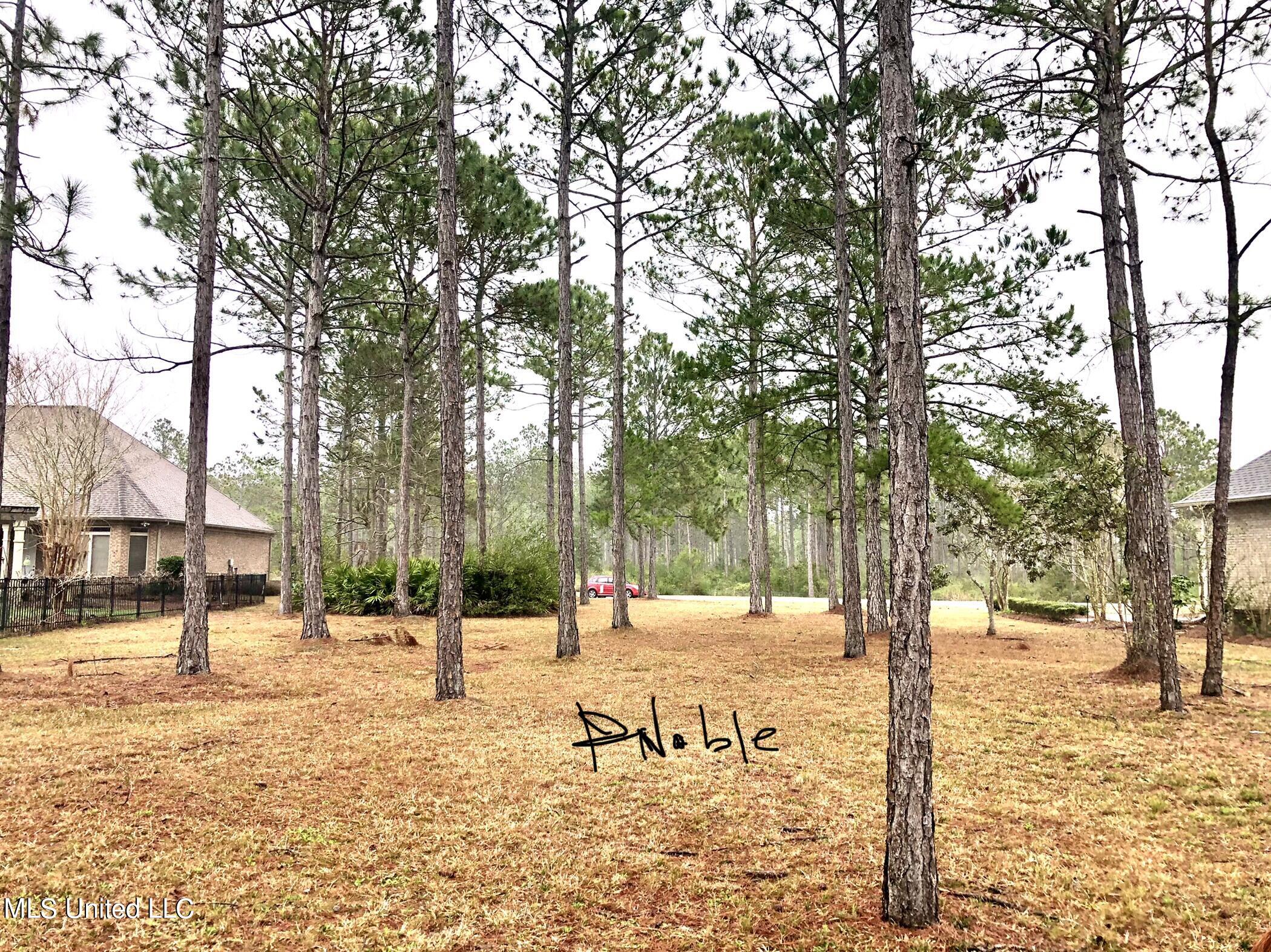 Shell Landing, Gautier, Mississippi image 4