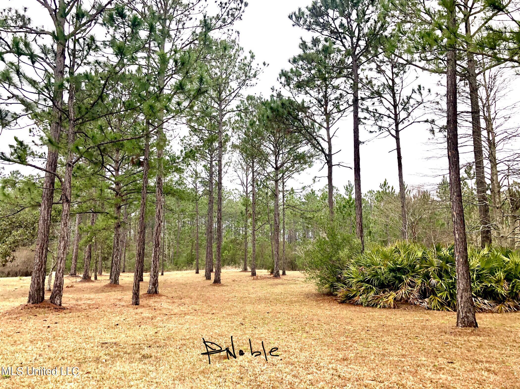 Shell Landing, Gautier, Mississippi image 3