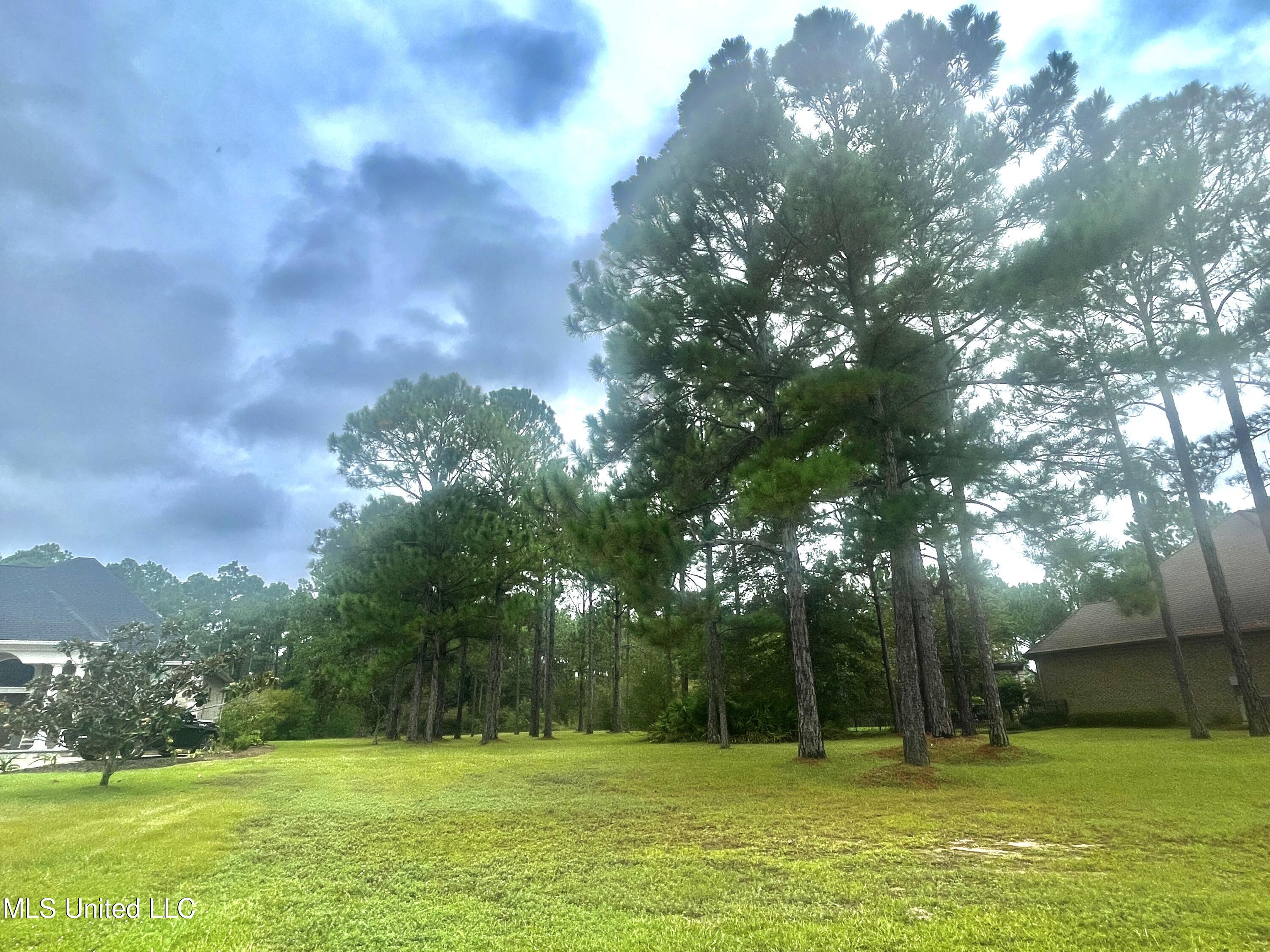 Shell Landing, Gautier, Mississippi image 5