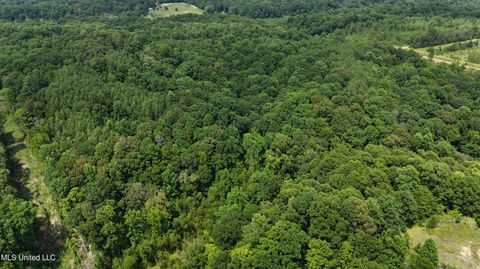 Vacant Land For Sale - Pine Bluff Road<br/> Carroll County, Cruger, MS 38924