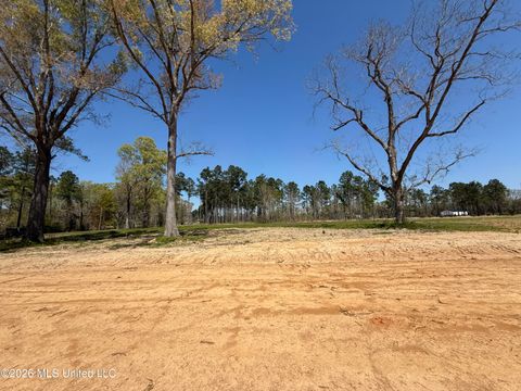 Vacant Land For Sale - LOT 1 Oakley Lane<br/> Lucedale, MS 39452