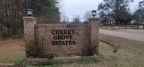 Vacant Land For Sale - Edward Owens Drive<br/> Terry, MS 39170