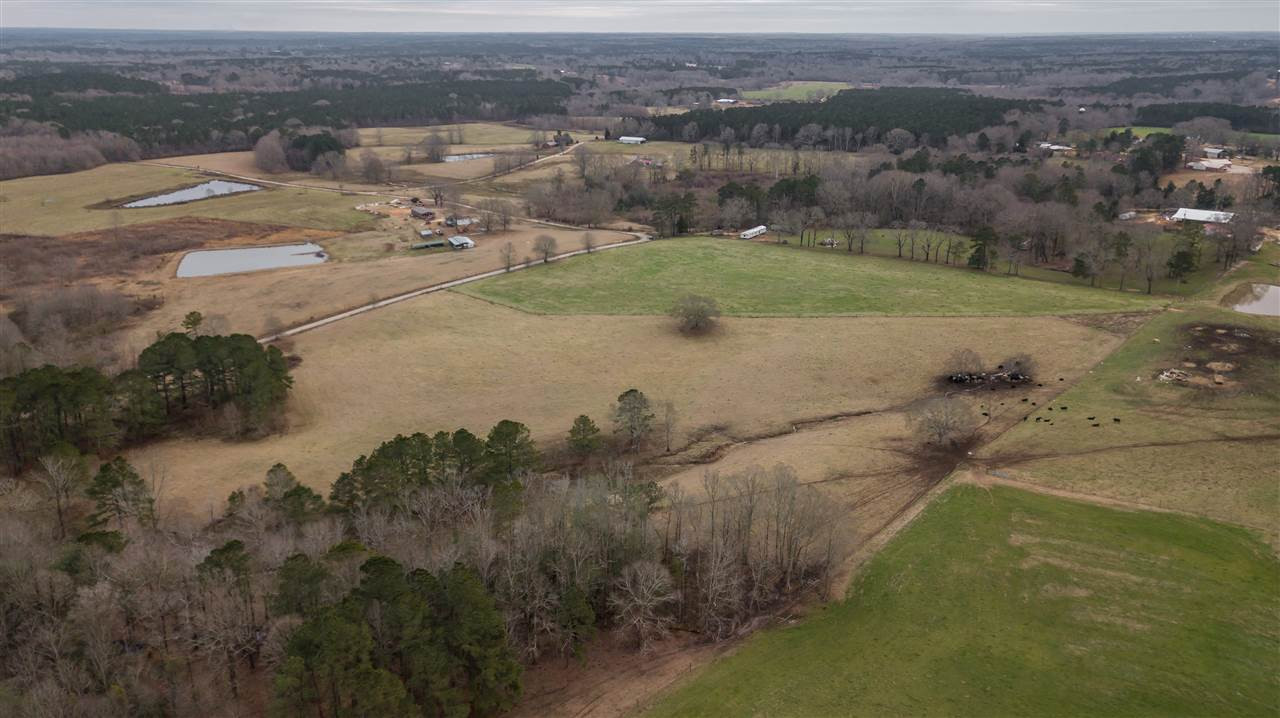 00 Kiley Bailey Road #PARCEL 8, Mendenhall, Mississippi image 19