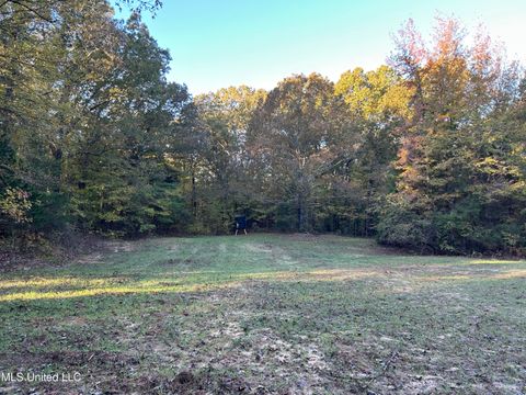 Vacant Land For Sale - Franklin Drive<br/> Panola County, Batesville, MS 38606