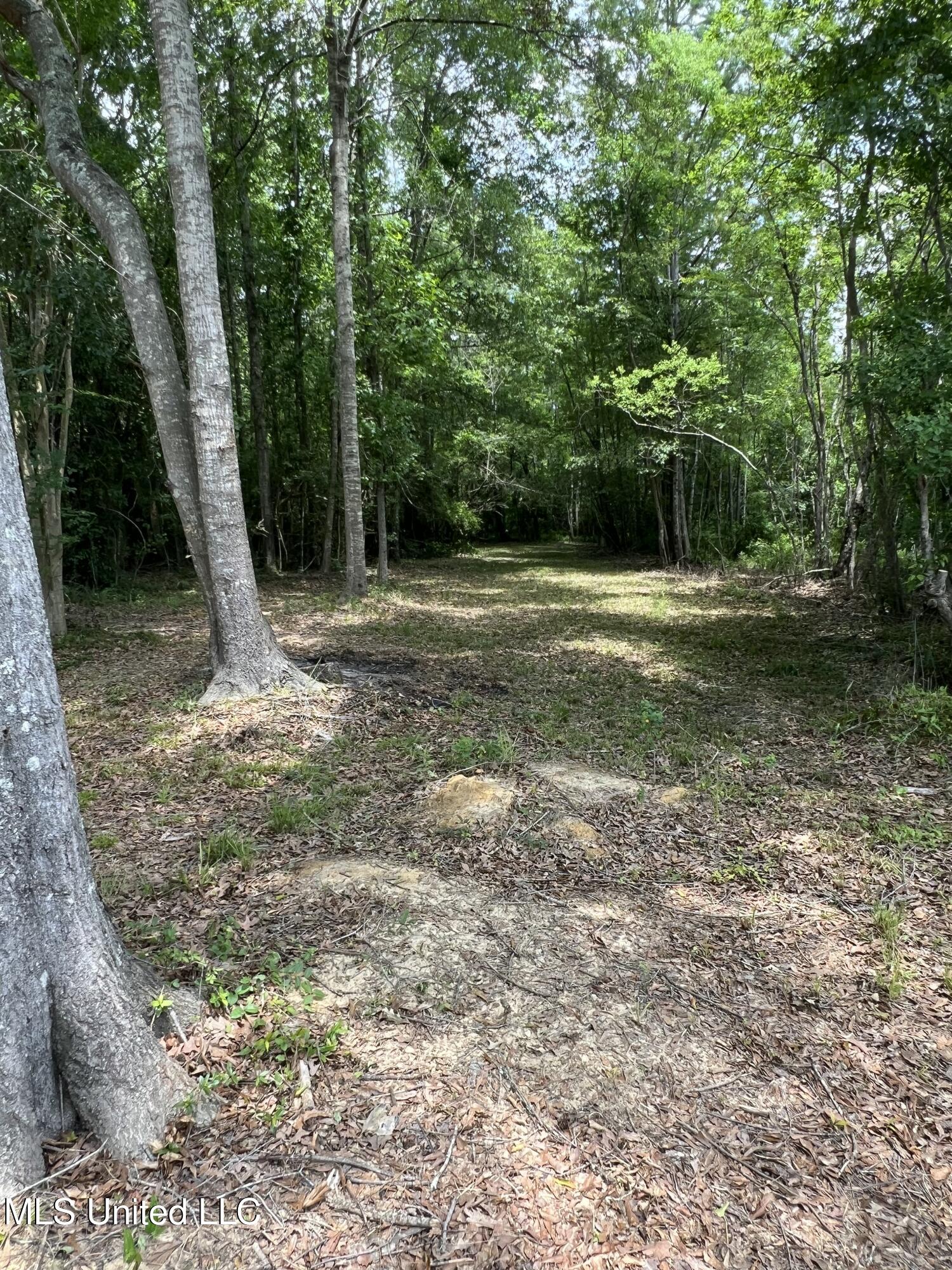 42 Thagard Drive, Petal, Mississippi image 42