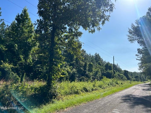 Vacant Land For Sale - SE Mccullough Road<br/> Bogue Chitto, MS 39629