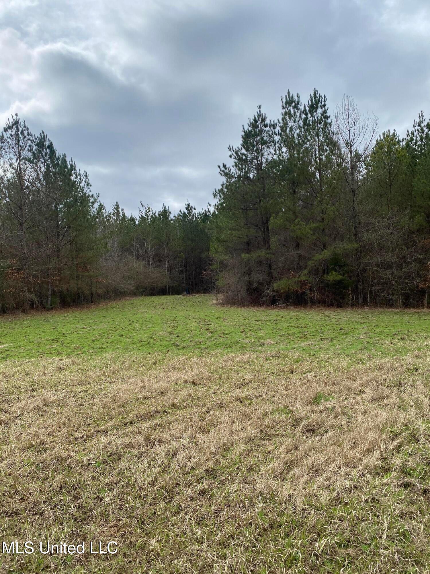 94 Acres Everett Road, Hickory, Mississippi image 19