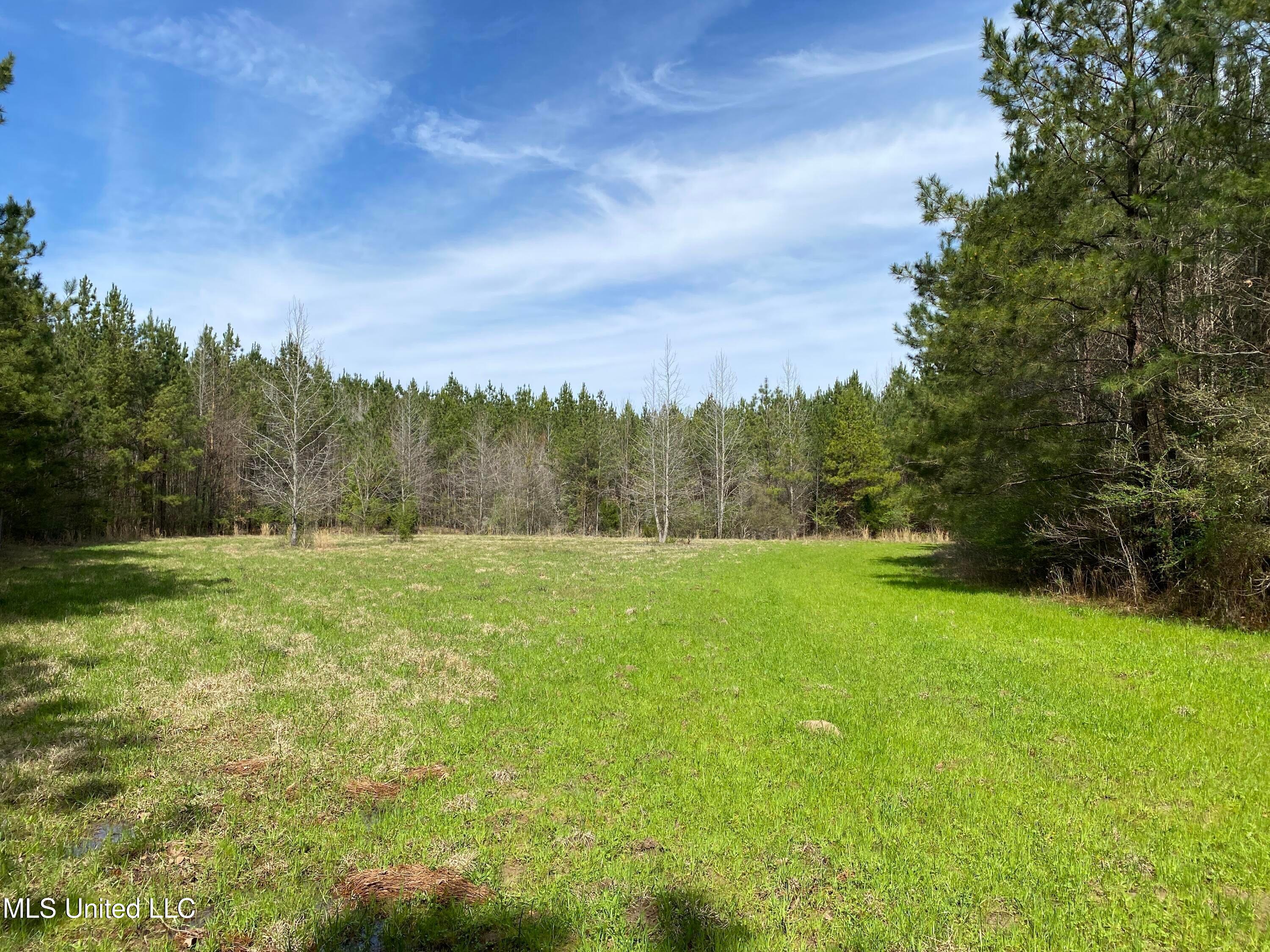 94 Acres Everett Road, Hickory, Mississippi image 8