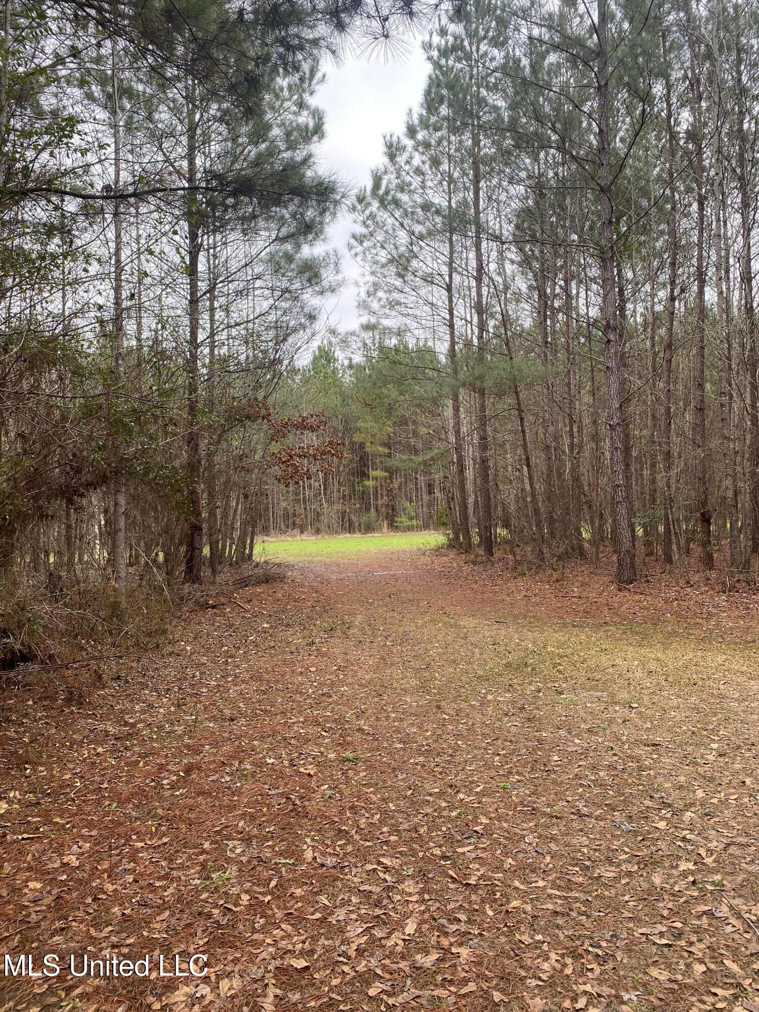 94 Acres Everett Road, Hickory, Mississippi image 33