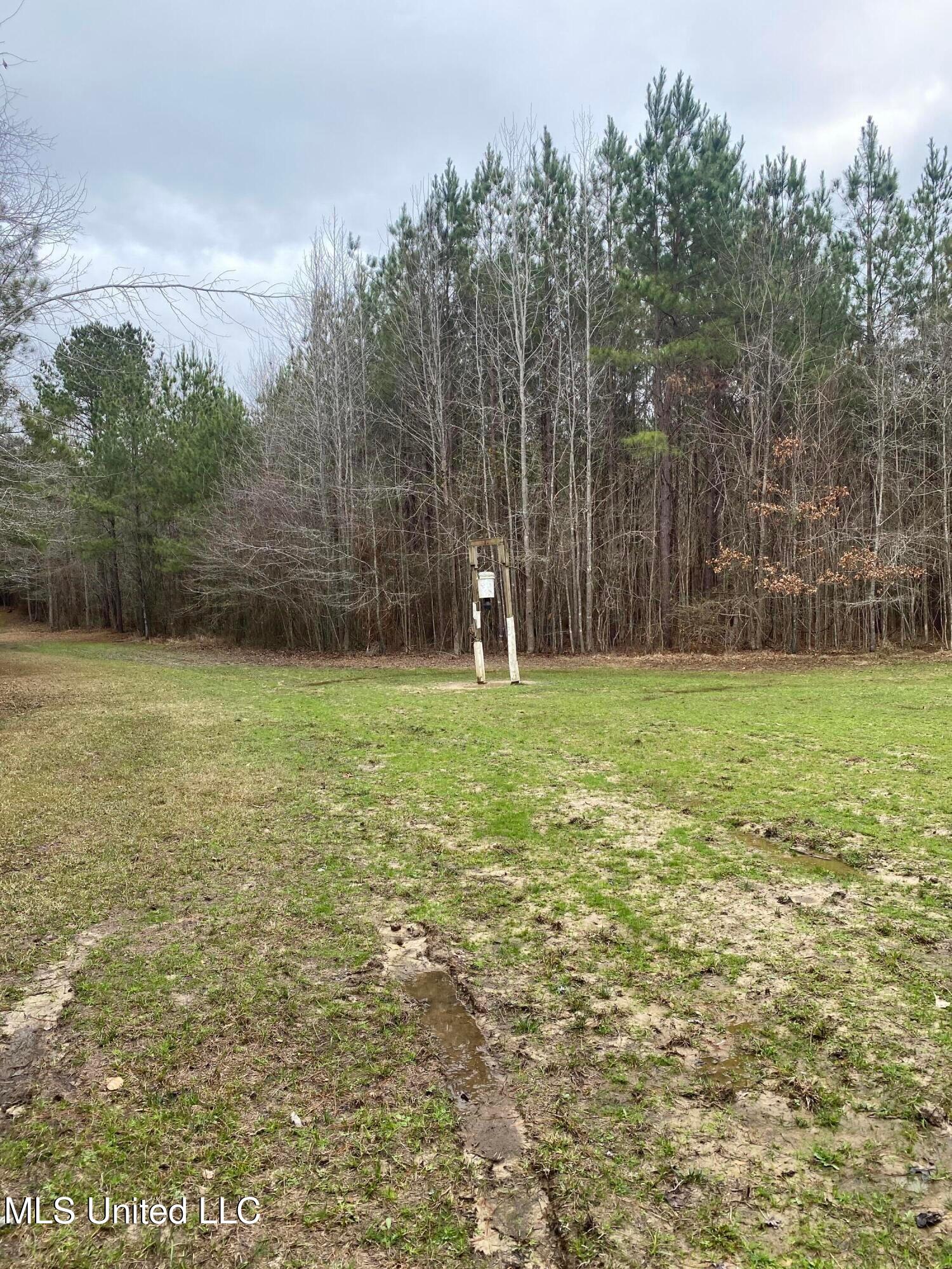 94 Acres Everett Road, Hickory, Mississippi image 30