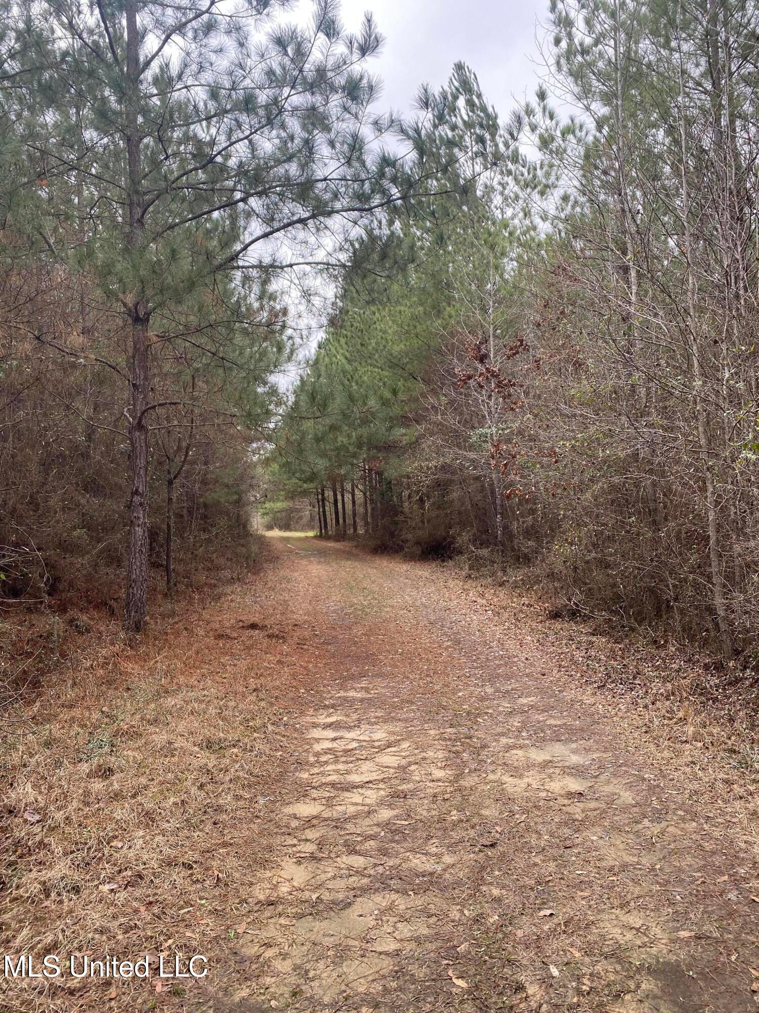 94 Acres Everett Road, Hickory, Mississippi image 18