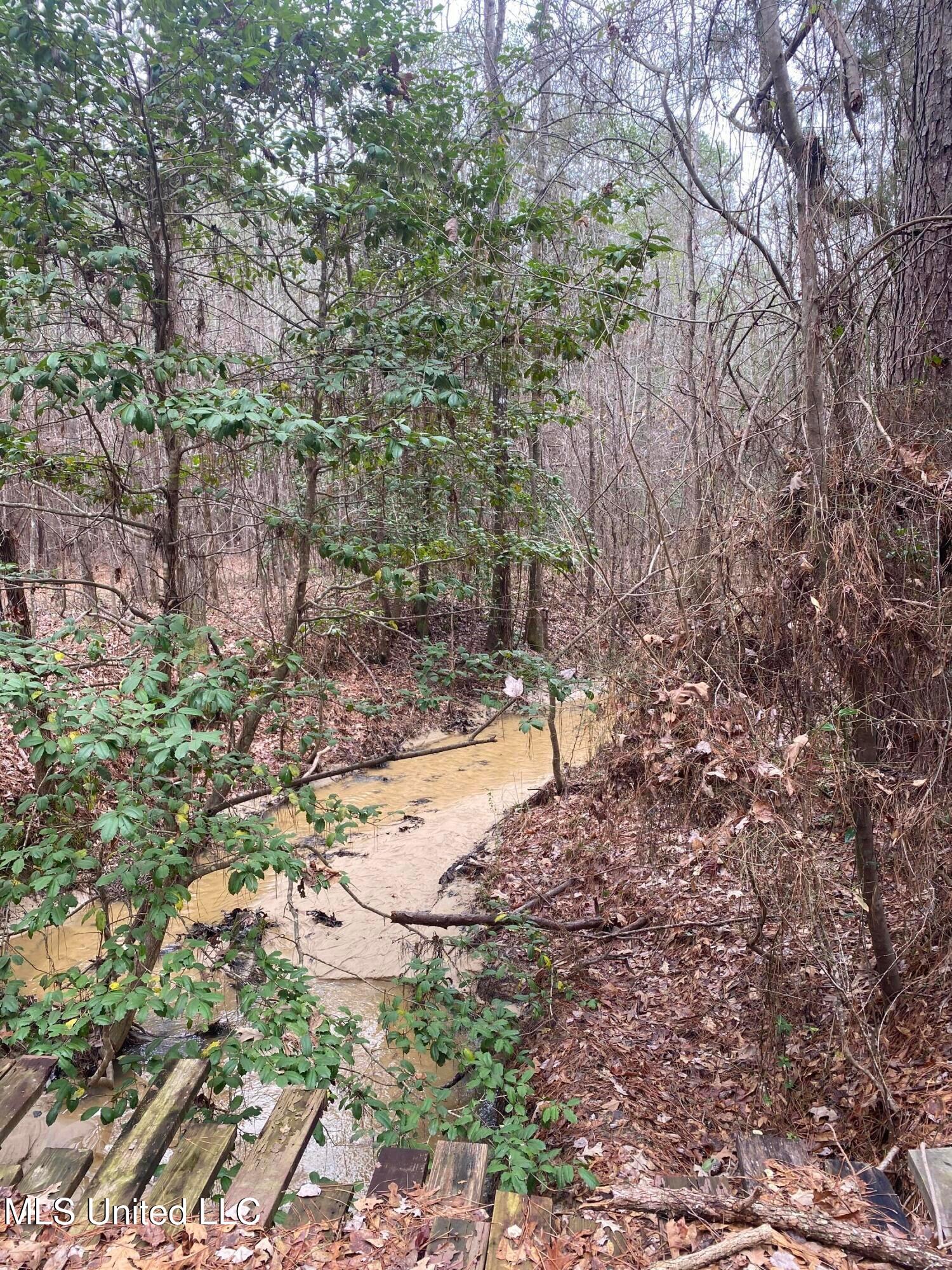 94 Acres Everett Road, Hickory, Mississippi image 22