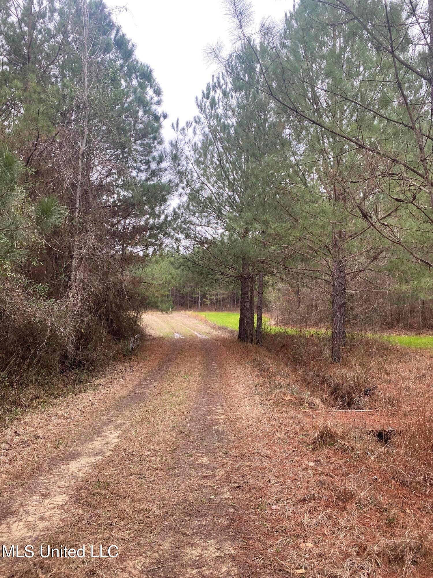 94 Acres Everett Road, Hickory, Mississippi image 37