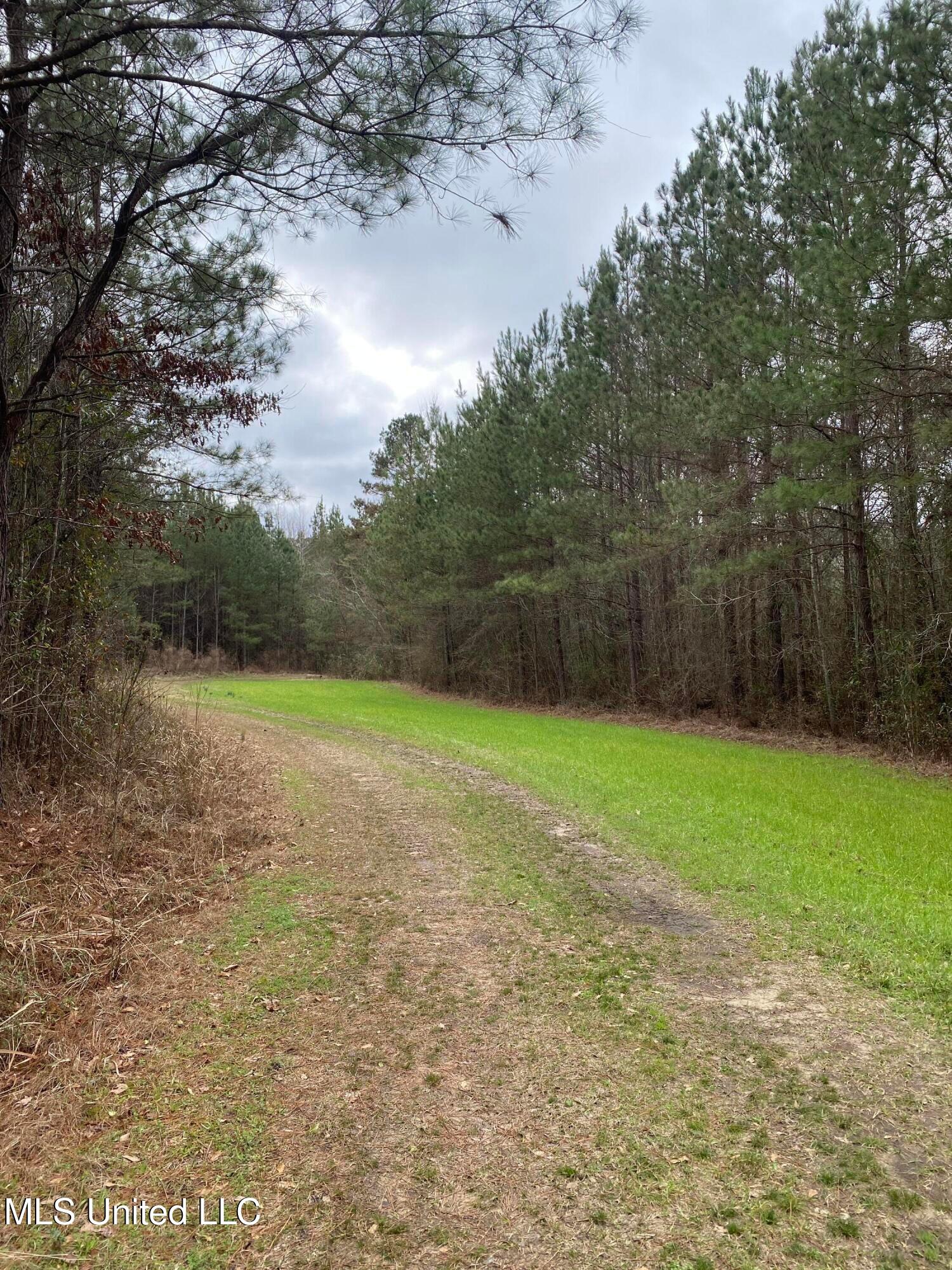 94 Acres Everett Road, Hickory, Mississippi image 10