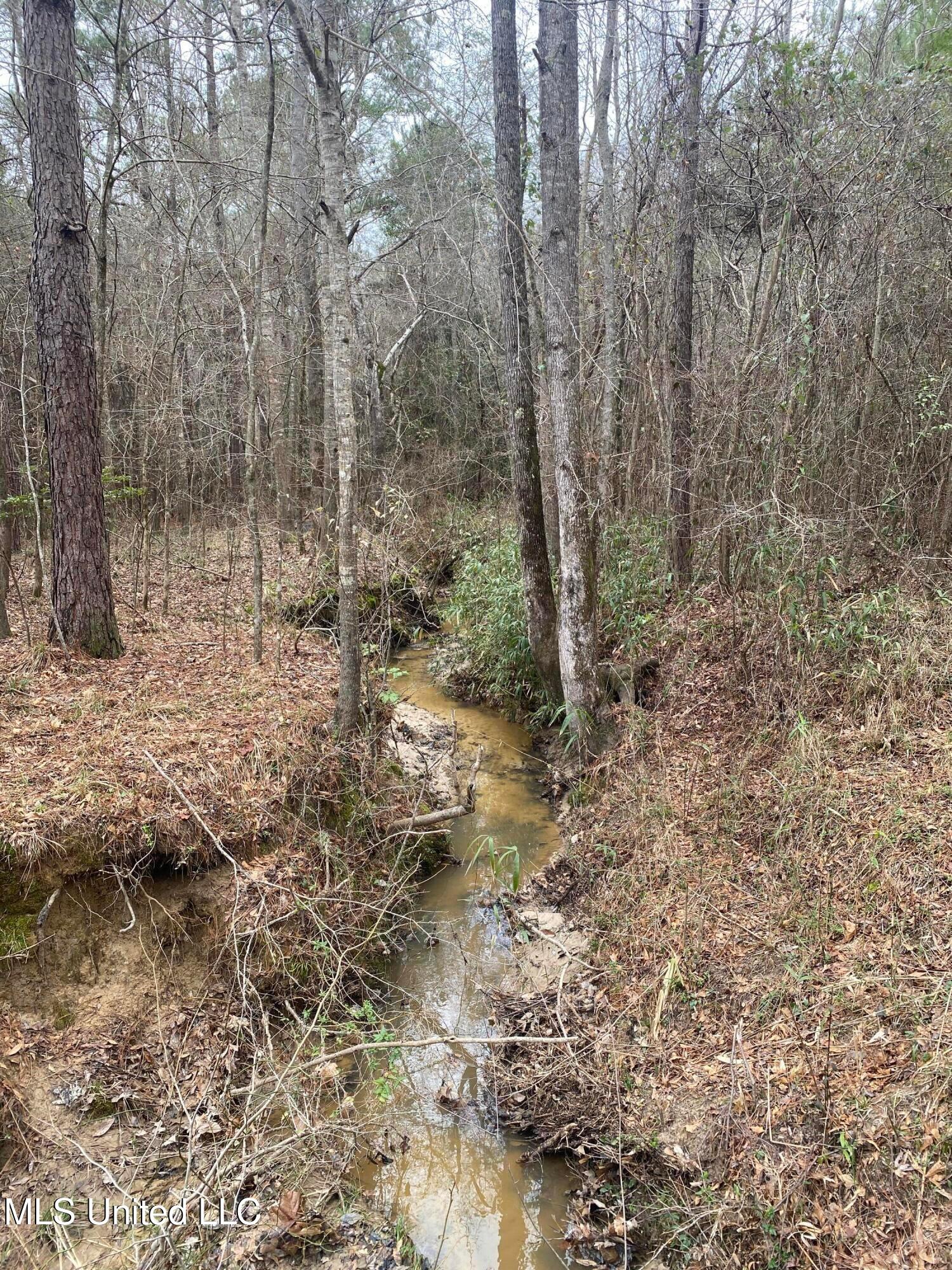 94 Acres Everett Road, Hickory, Mississippi image 28