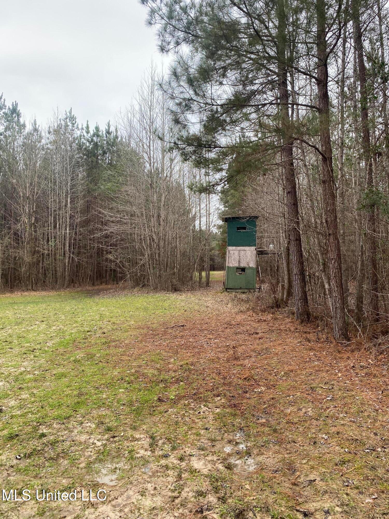 94 Acres Everett Road, Hickory, Mississippi image 29